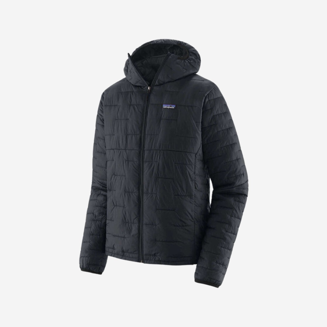 Patagonia Micro Puff Hoody Black 상세 이미지 1