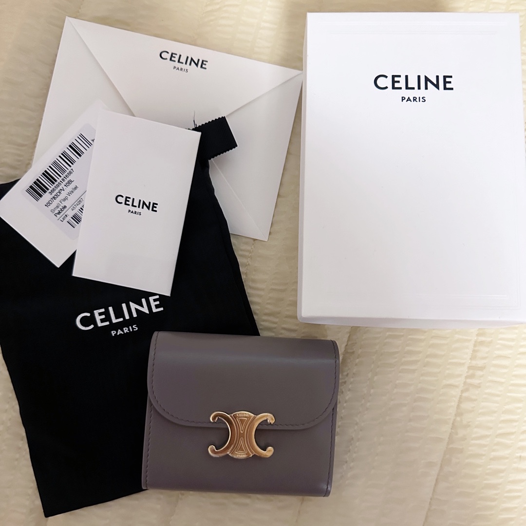 Celine Small Wallet Triomphe in Shiny Calfskin Pebble 착용 스타일 - 3