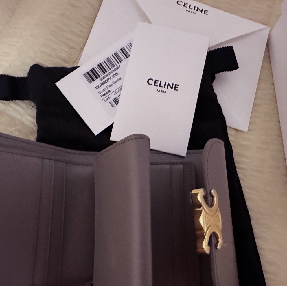 Celine Small Wallet Triomphe in Shiny Calfskin Pebble 착용 스타일 - 2