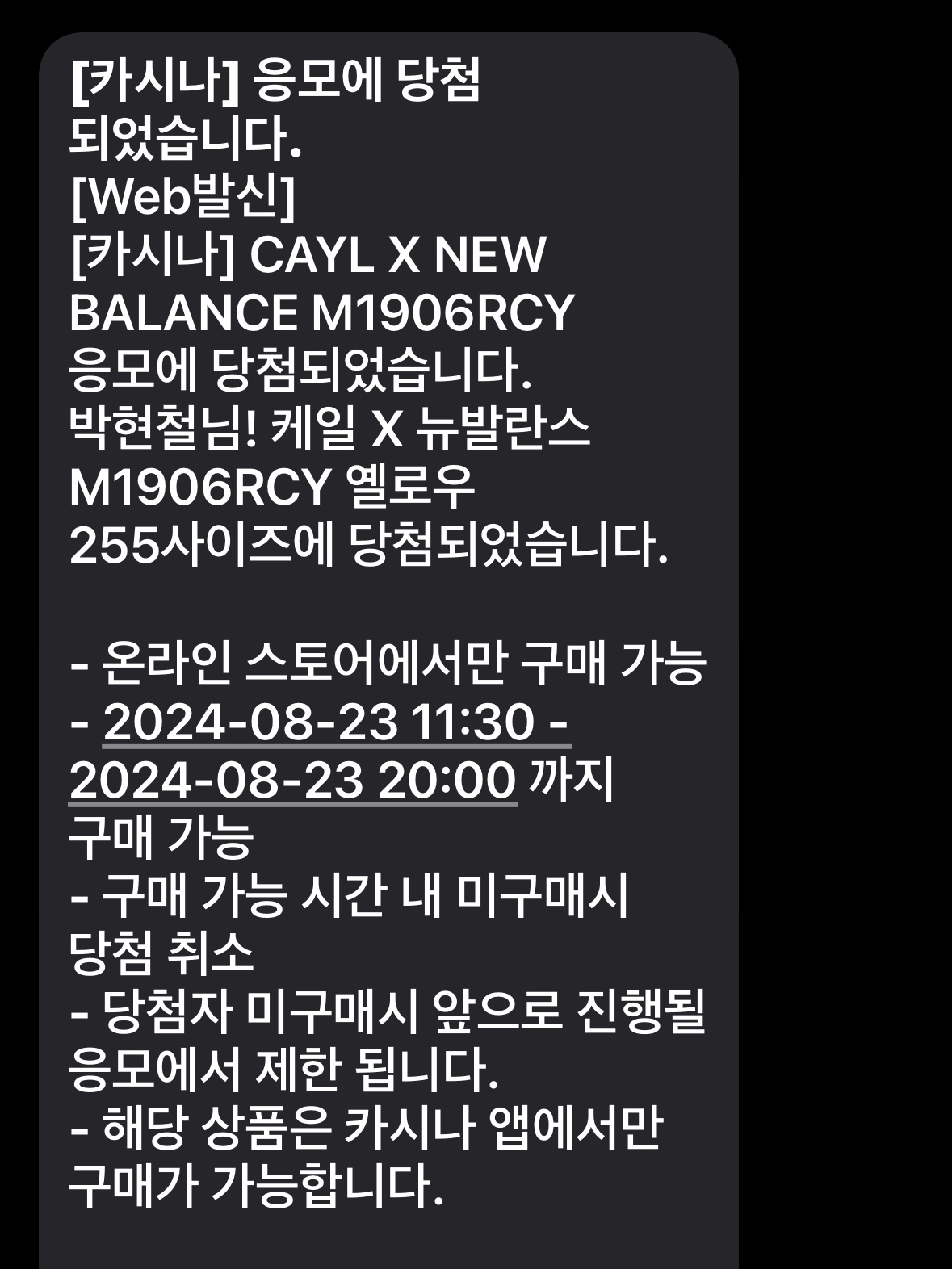 New Balance x Cayl 1906R Yellow, Dr. Martens x Pleasures Jorge Leather Mules Black 착용 스타일 - 1