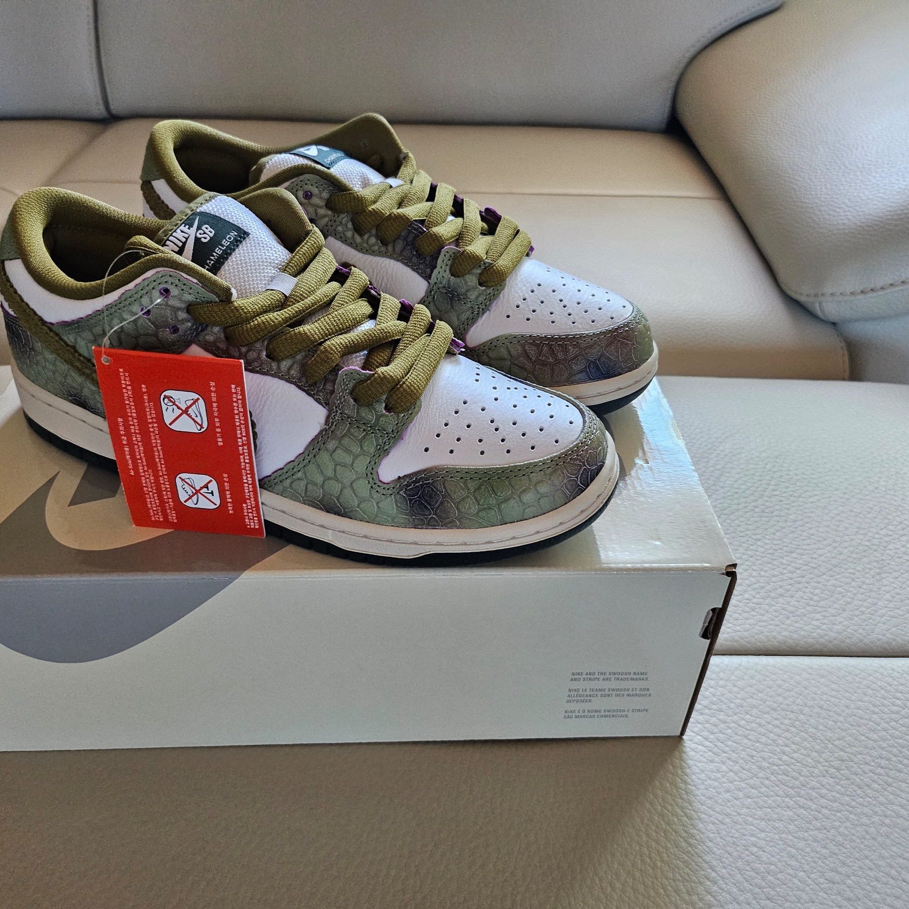 Nike x Alexis Sablone SB Dunk Low Pro White and Pacific Moss 착용 스타일