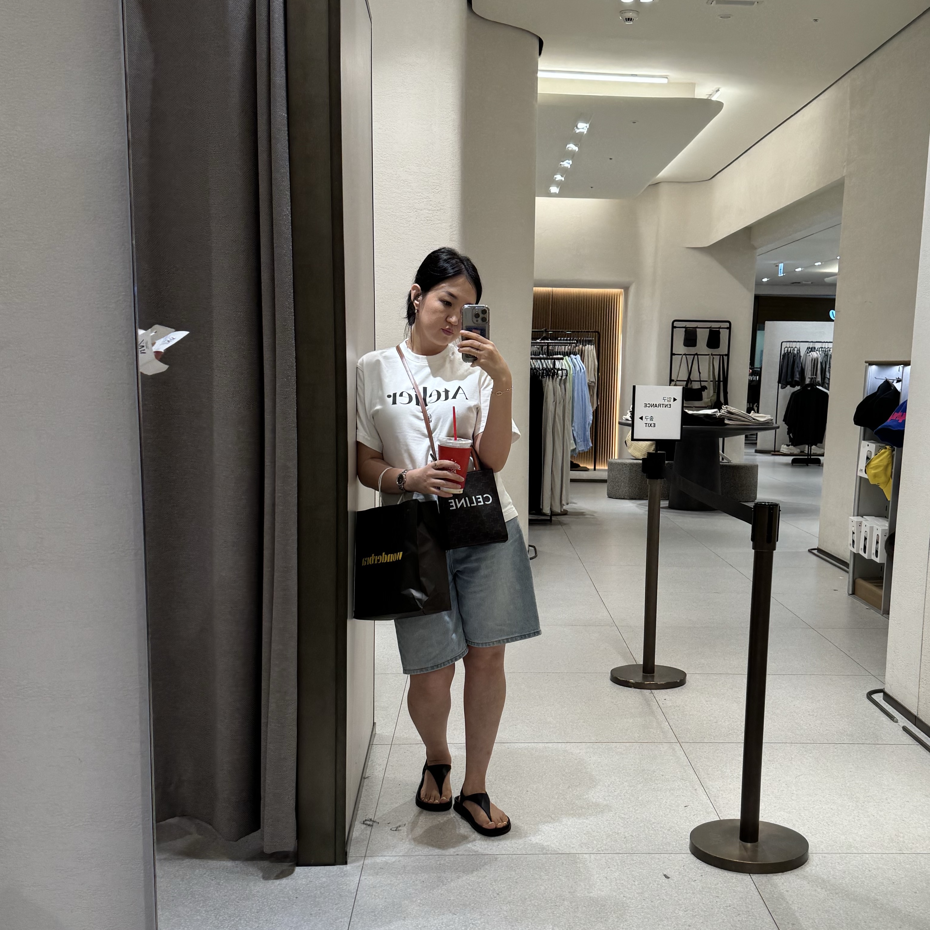 Celine Mini Vertical Cabas in Triomphe Canvas and Calfskin with Celine Print Tan 착용 스타일