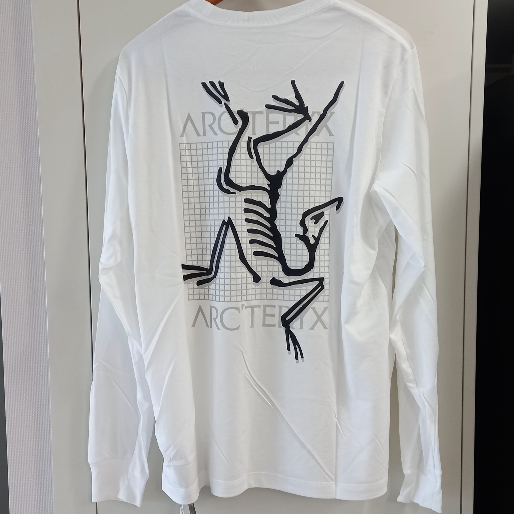 Arc'teryx Arc'Multi Bird Logo LS T-Shirt White Light 착용 스타일 - 1