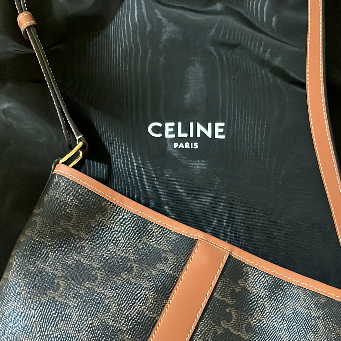 Celine Small Bucket in Triomphe Canvas and Calfskin Tan 착용 스타일