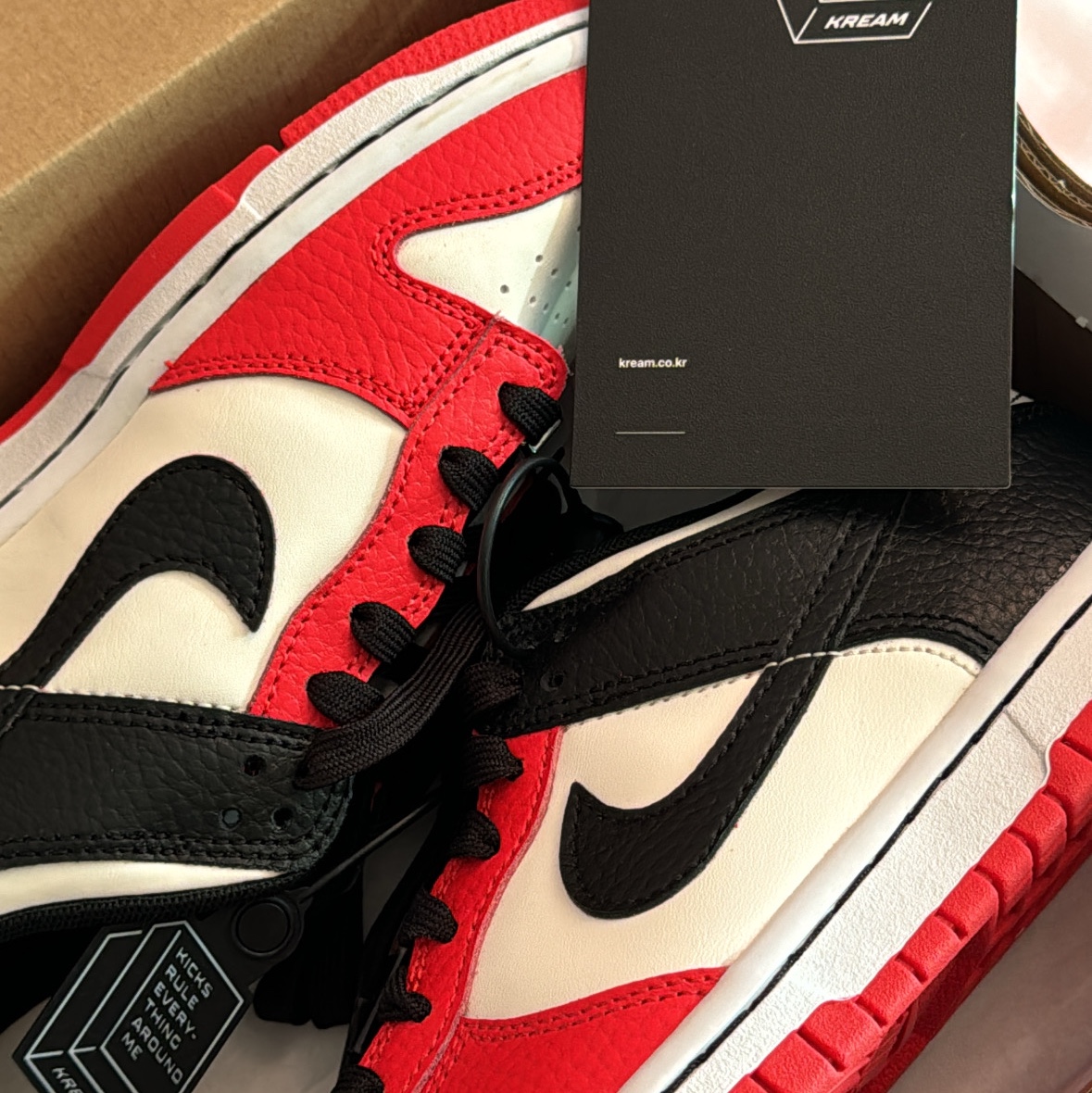 (GS) Nike x NBA Dunk Low Black and Chile Red 착용 스타일