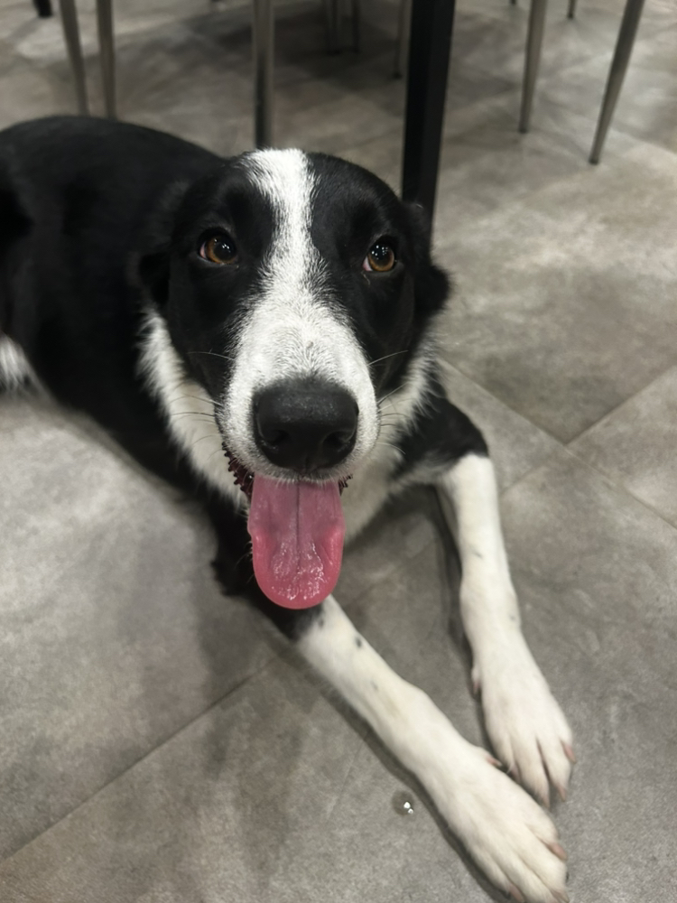 관심 유저 프로필 이미지