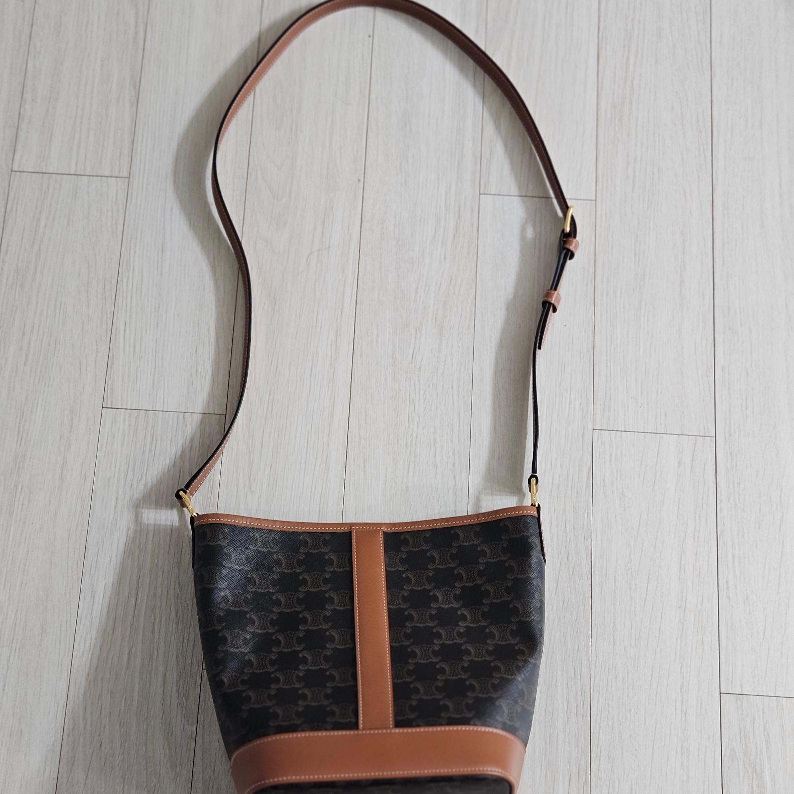 Celine Small Bucket in Triomphe Canvas and Calfskin Tan 착용 스타일