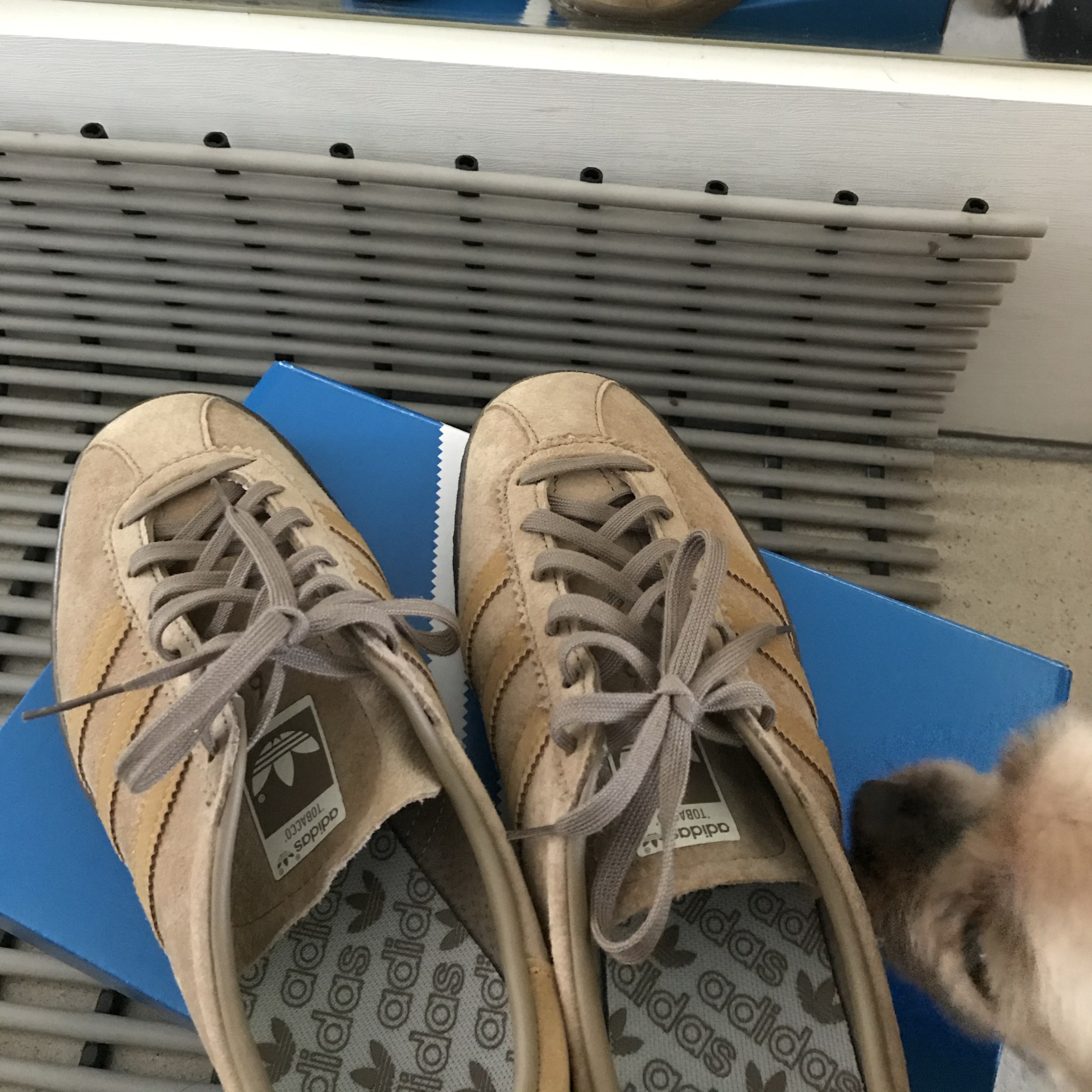 Adidas Tobacco Pantone Mesa 착용 스타일 - 2