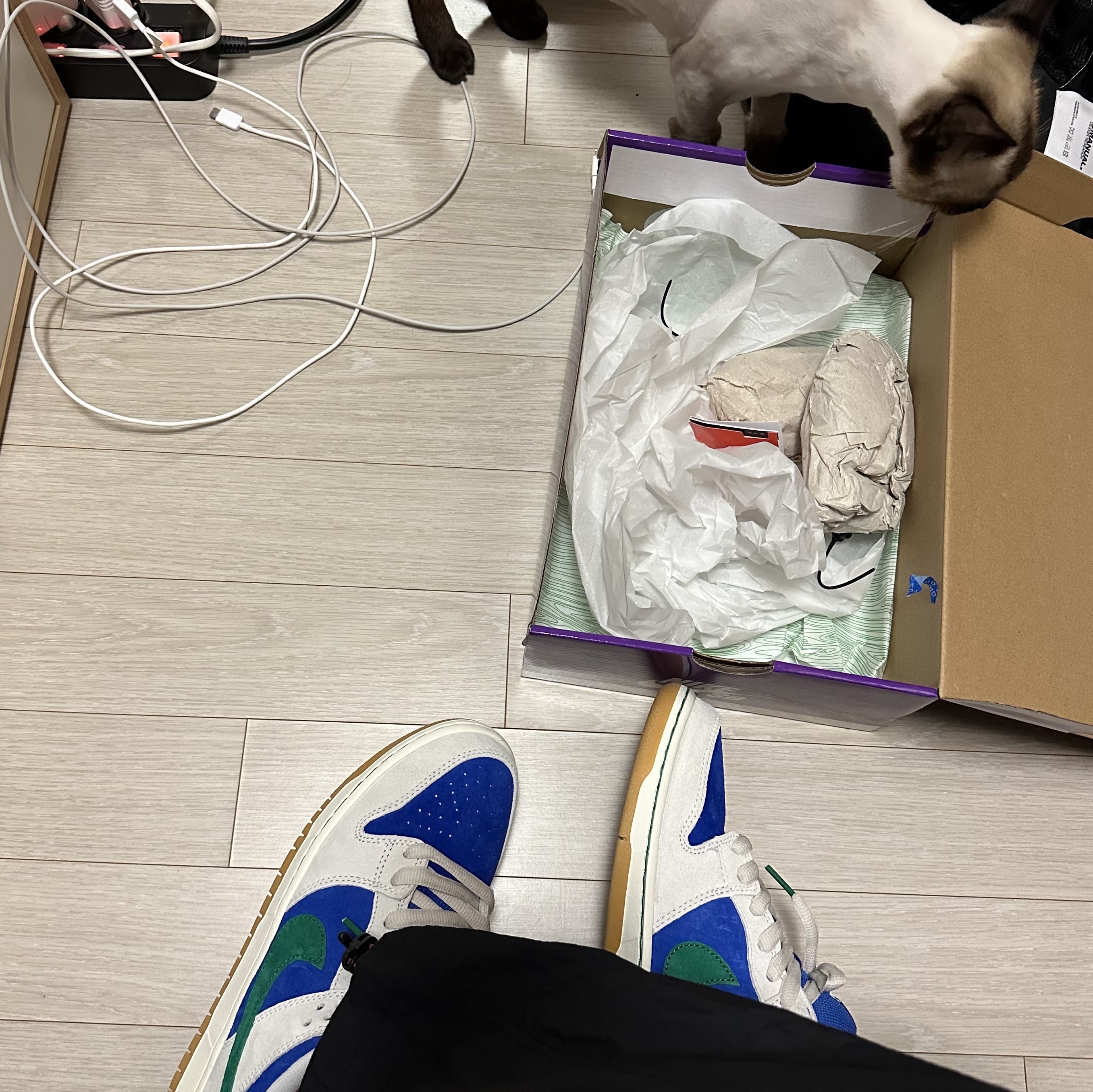 Nike SB Dunk Low Pro Phantom and Hyper Royal 착용 스타일 - 2