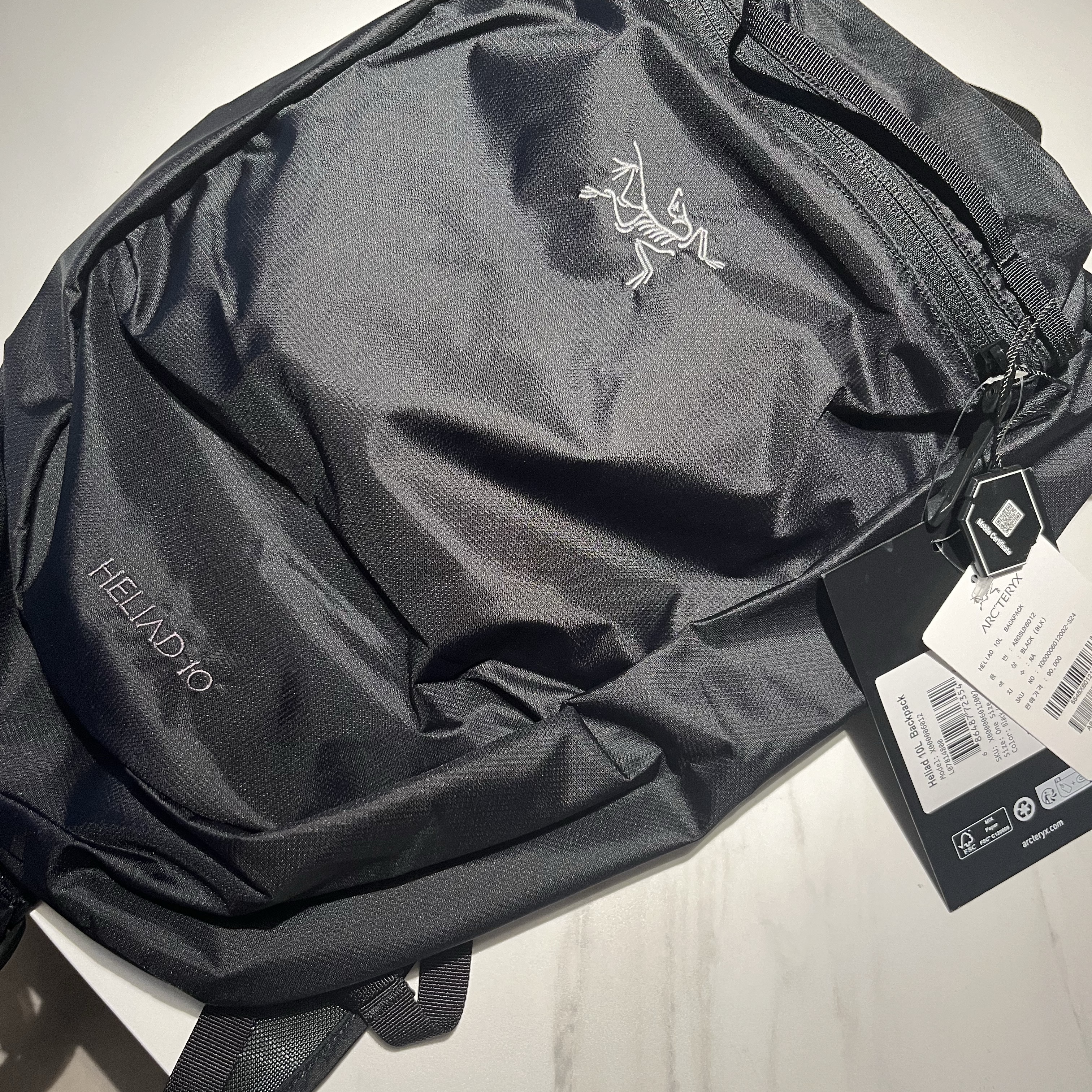Arc'teryx Heliad 10 Backpack Black 착용 스타일