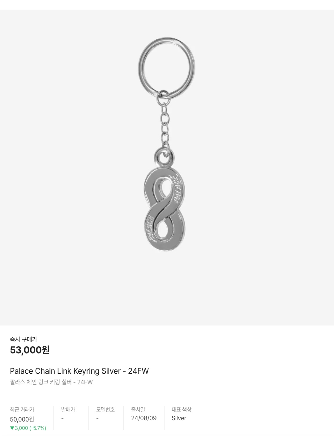 Palace Chain Link Keyring Silver - 24FW, Bottega Veneta Logo Tag Keyring Black 착용 스타일 - 6