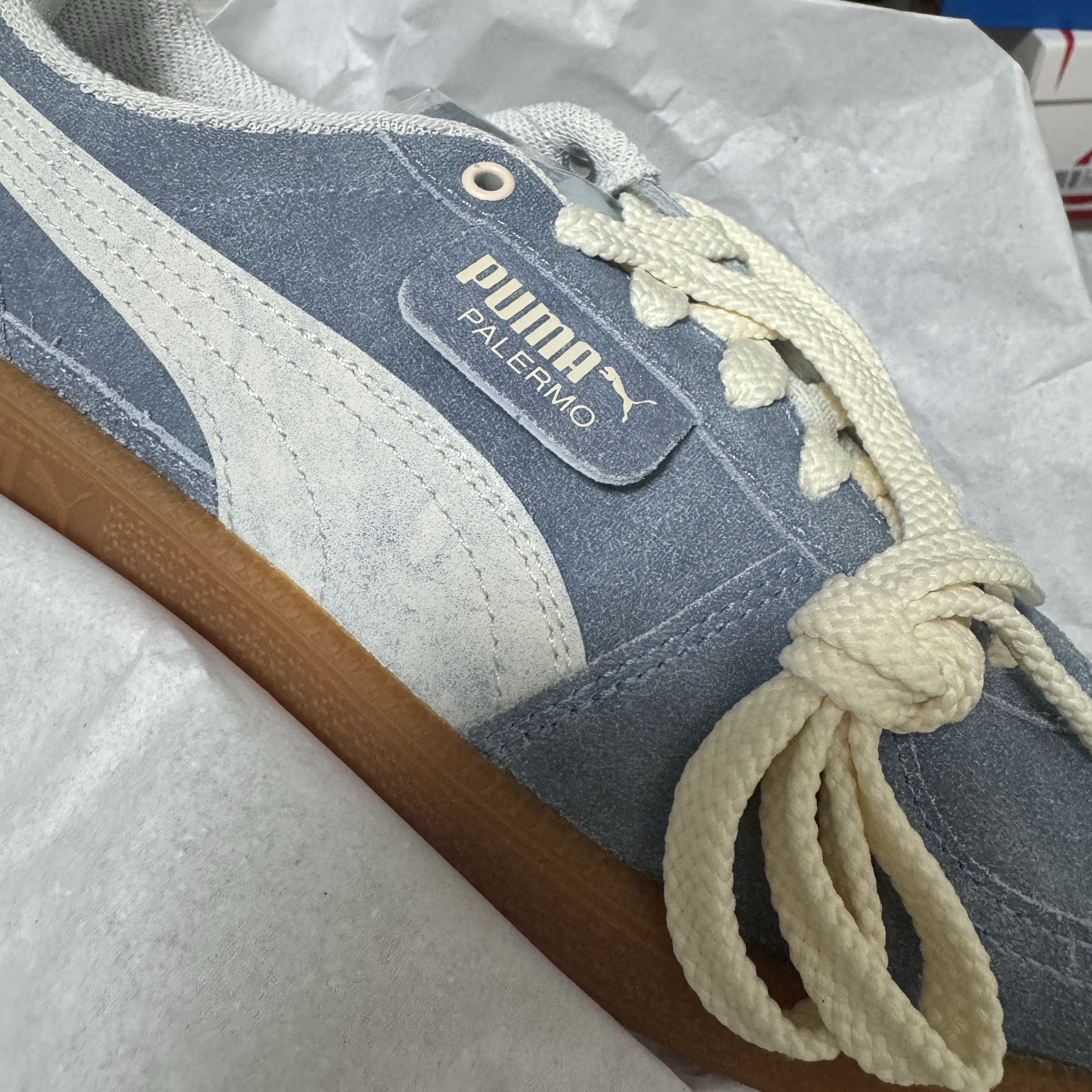 Puma Palermo Basketball Nostalgia Dewdrop Sugared Almond 착용 스타일