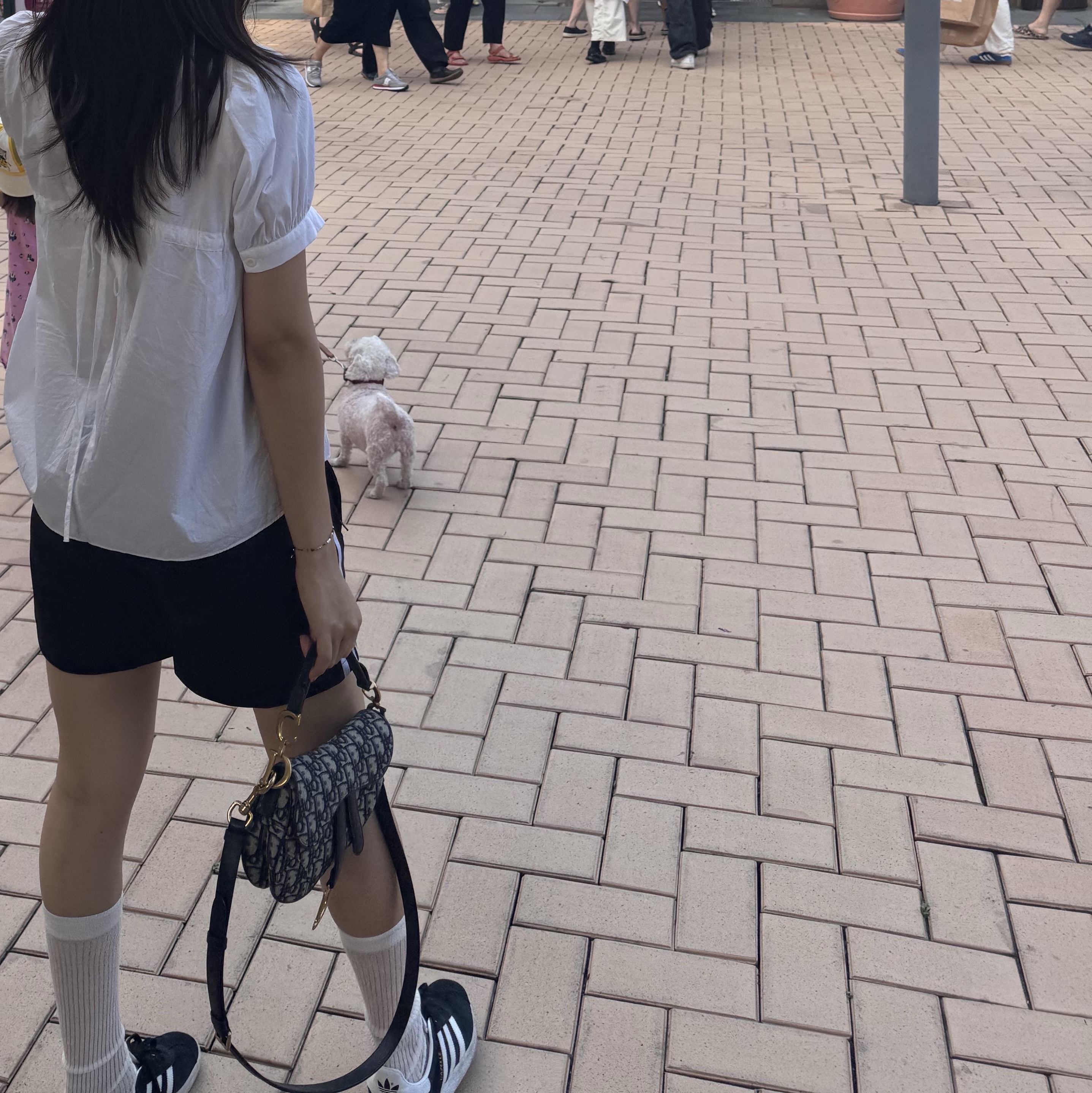 Adidas Gazelle Core Black White, Dior Mini Saddle Bag with Strap Blue Dior Oblique Jacquard 착용 스타일