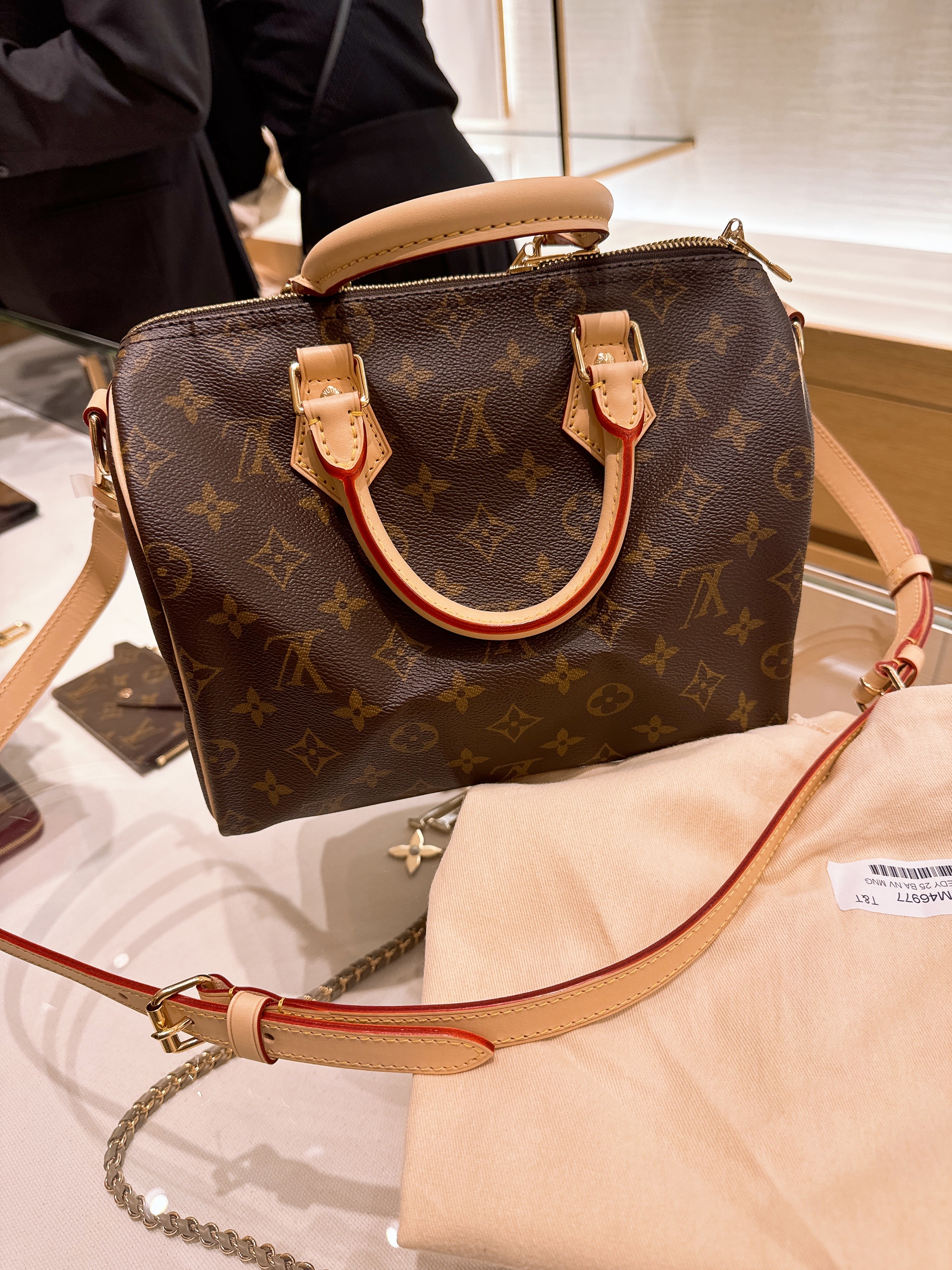 Louis Vuitton Speedy Bandouliere 25 Monogram 착용 스타일 - 1
