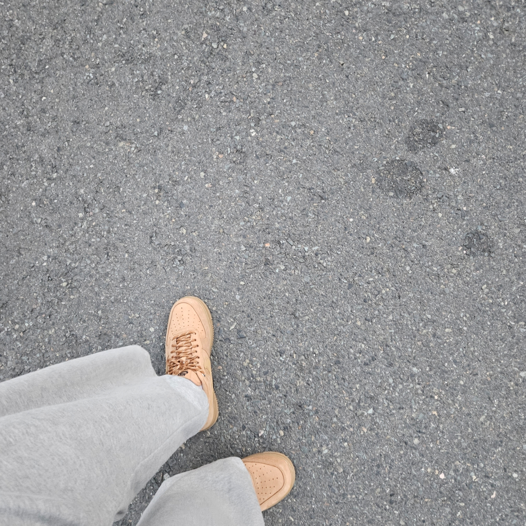 (W) Nike Air Force 1 '07 WB Flax Wheat 착용 스타일
