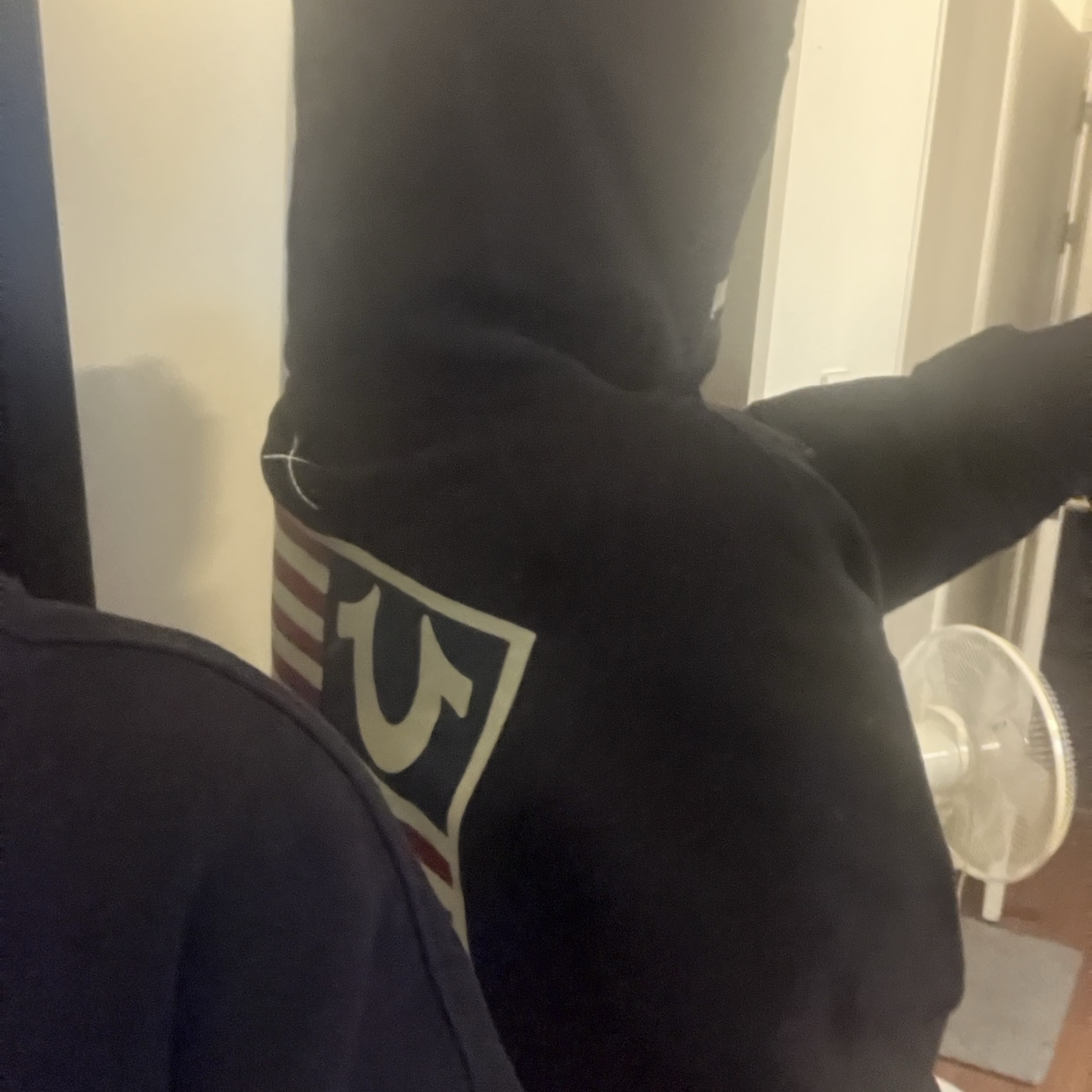 True Religion Old Glory MK2 Hoodie Navy 착용 스타일