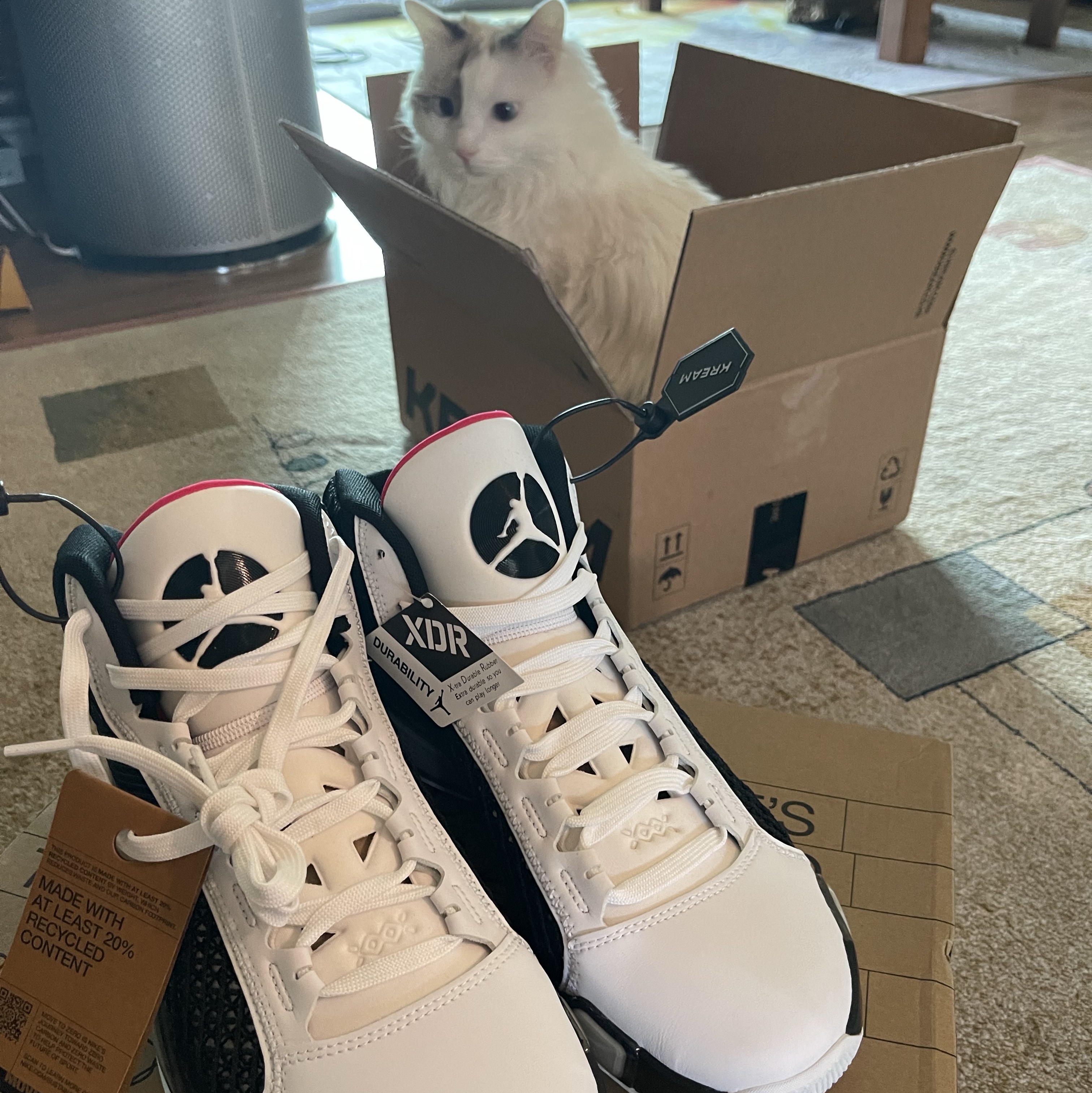 Jordan XXXVIII PF White Siren Red 착용 스타일