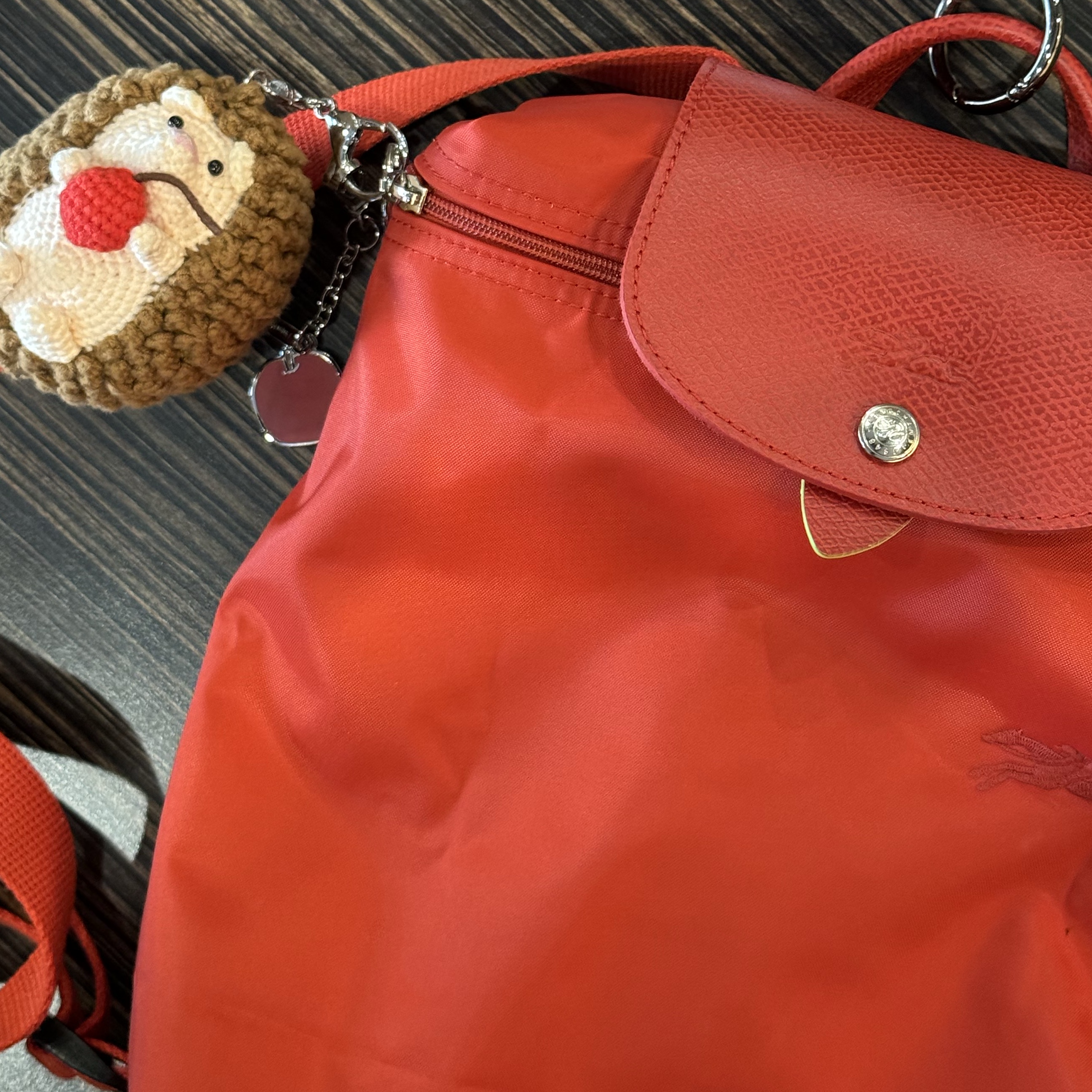 Longchamp Le Pliage Green M Backpack Tomato 착용 스타일