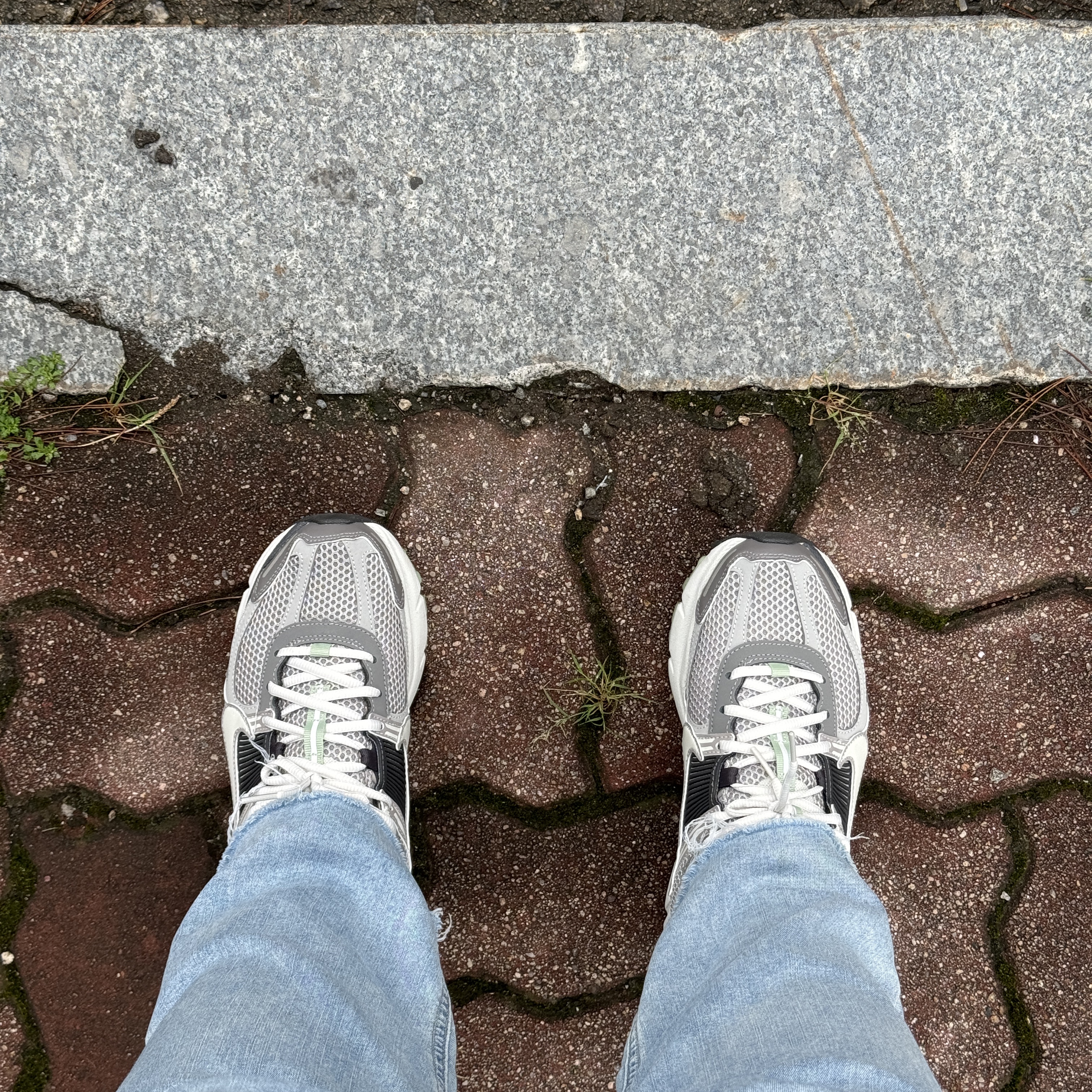 (W) Nike Zoom Vomero 5 Cobblestone and Flat Pewter 착용 스타일