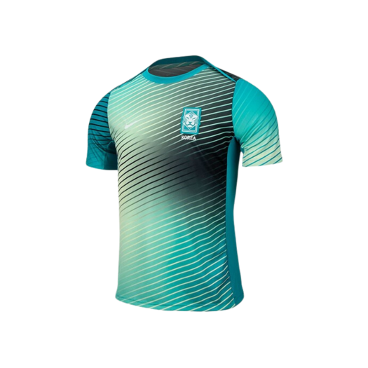 Nike Korea Academy Pro Dri-Fit Soccer Pre-Match Sleeve Top Alabaster Teal Nebula - Asia