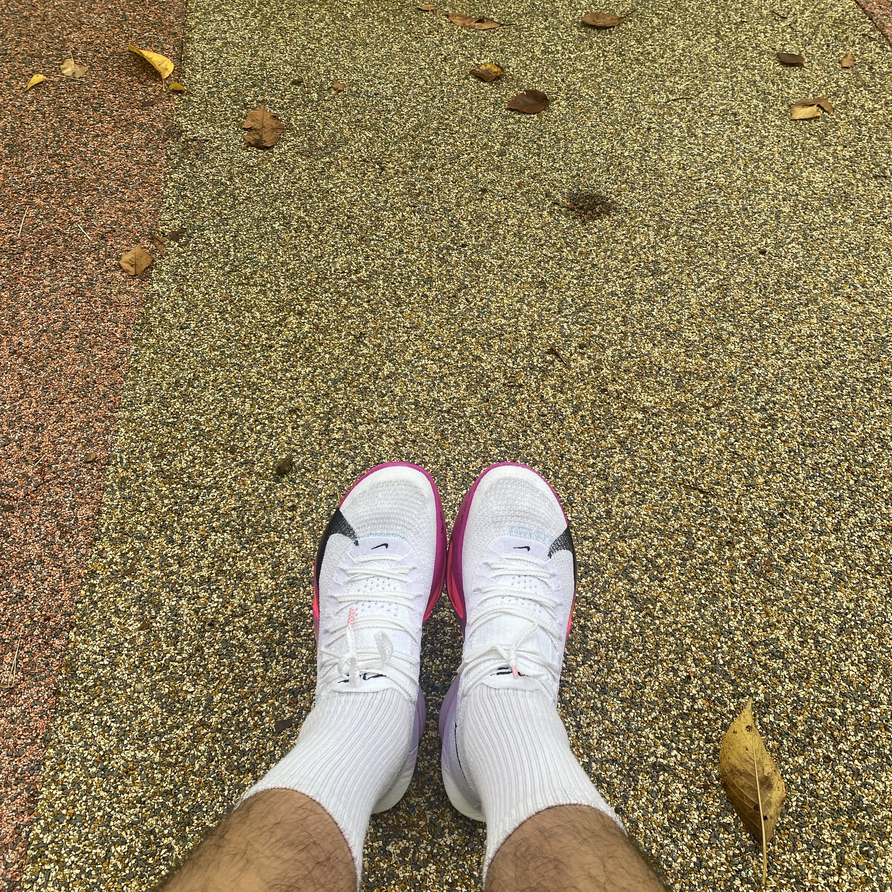 (W) Nike Air Zoom Alphafly Next% 3 Hyper Pink 착용 스타일