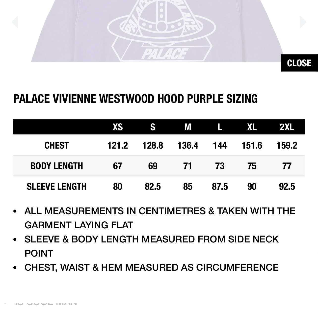 Palace x Vivienne Westwood Hood Purple - 24FW, Palace x Vivienne Westwood Hood Black - 24FW 착용 스타일 - 1