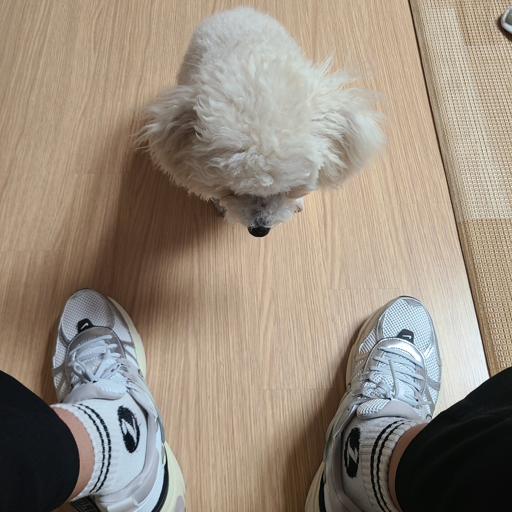 Nike V2K Run Pure Platinum Light Iron Ore 착용 스타일 - 4