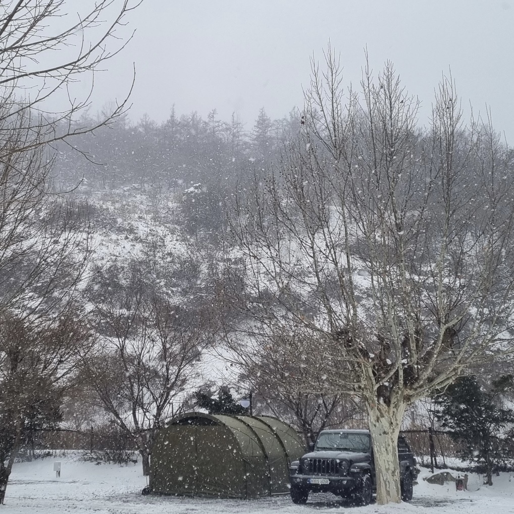 Helinox Tactical Field Tunnel 4.35 Coyote Tan, Helinox Field Tunnel Inner Tent 2P 착용 스타일