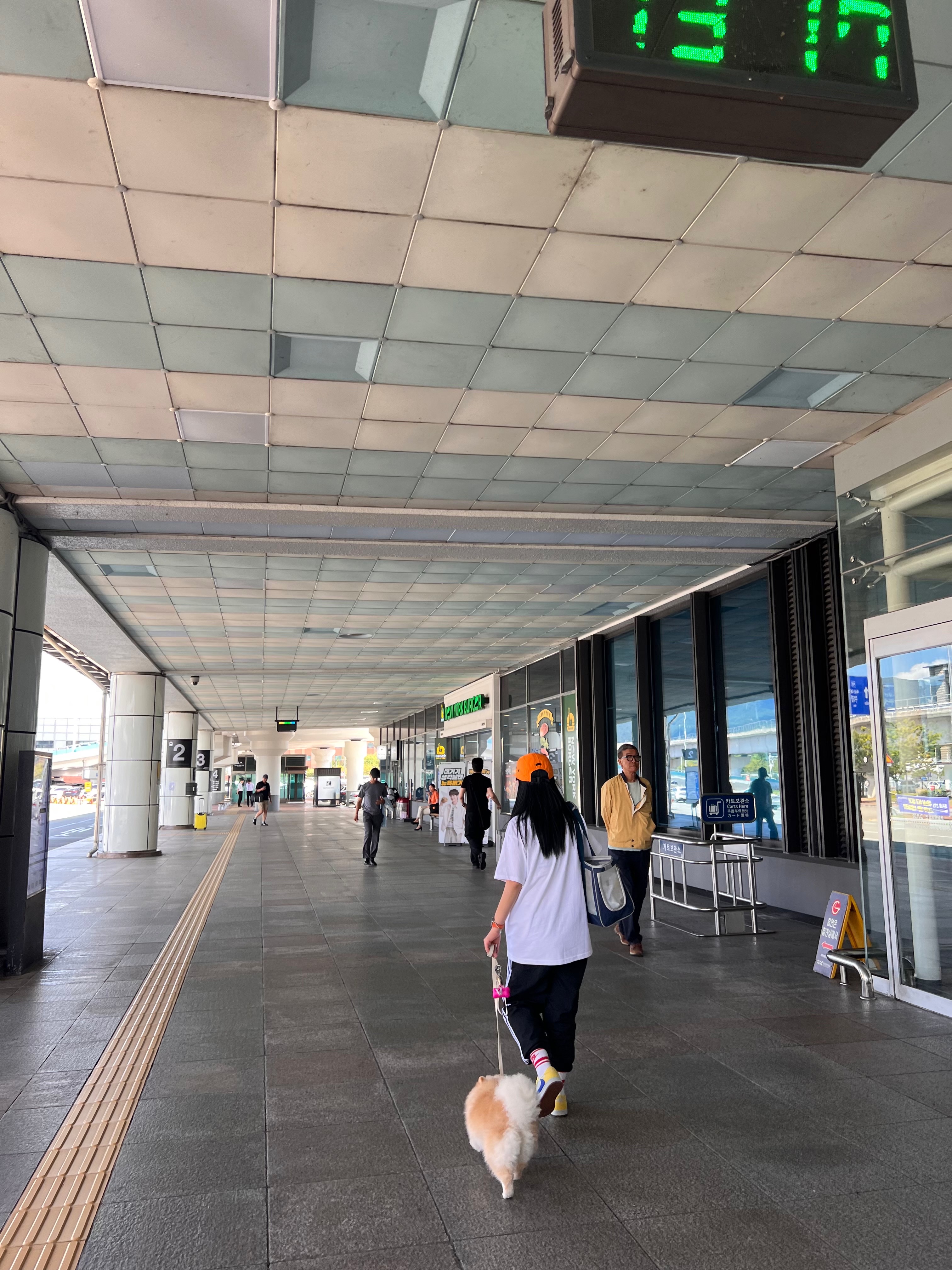 핼둥님의 스타일 - 2