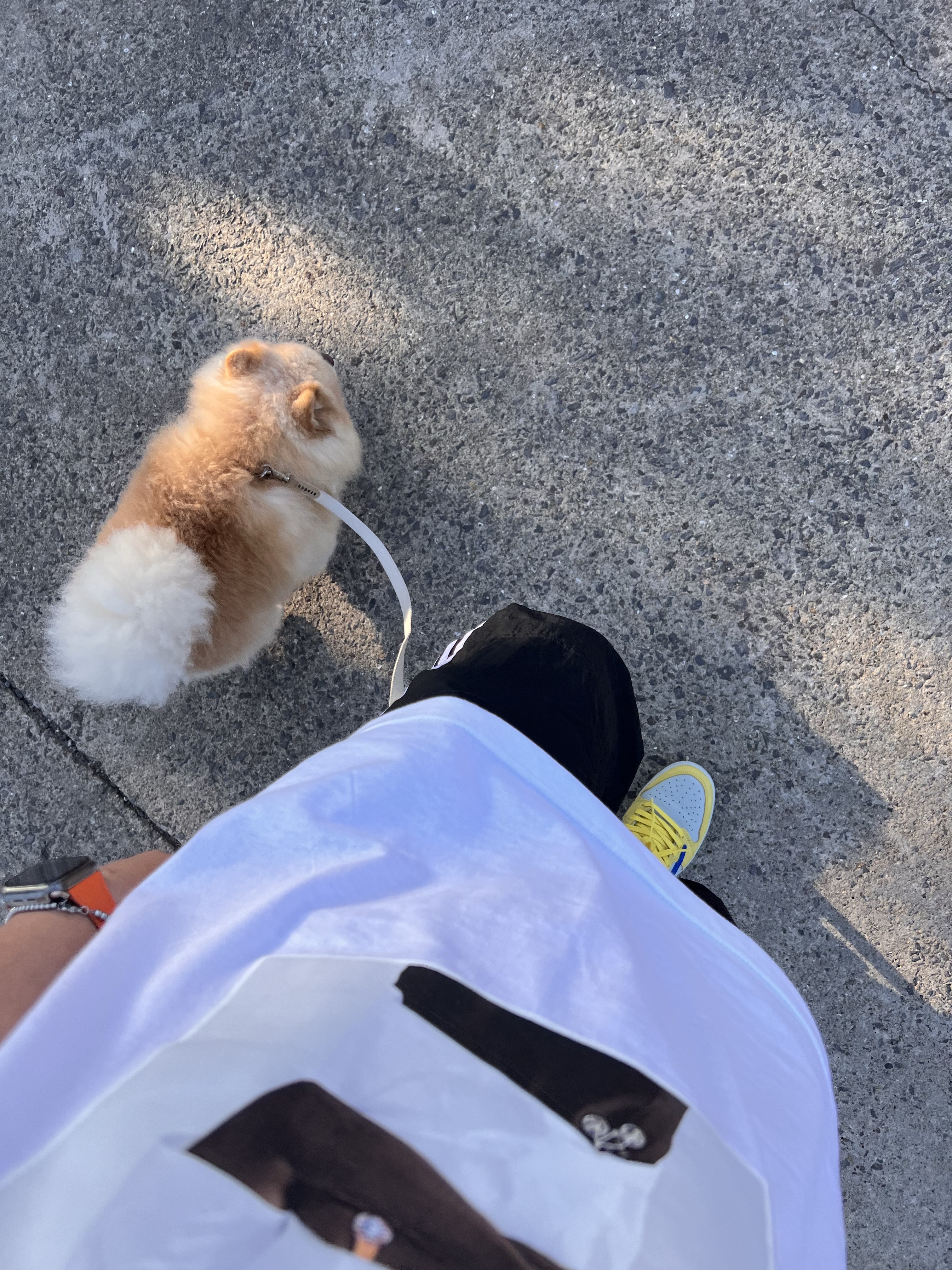 핼둥님의 스타일 - 3