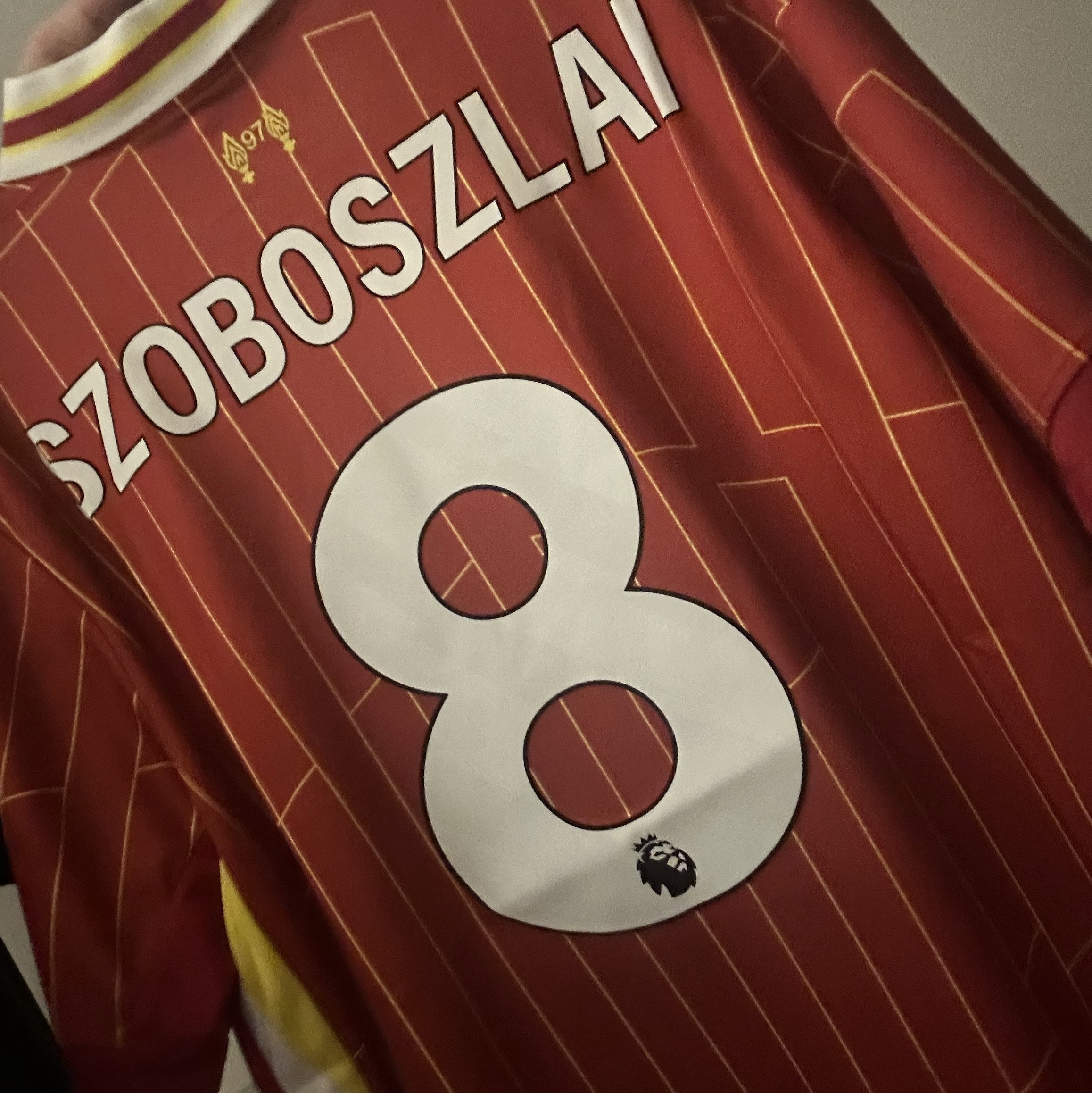 Nike Liverpool FC 2024/25 ADV Match Home Dri-Fit Jersey Gym Red White Chrome Yellow (Non Marking Ver.) 착용 스타일 - 2