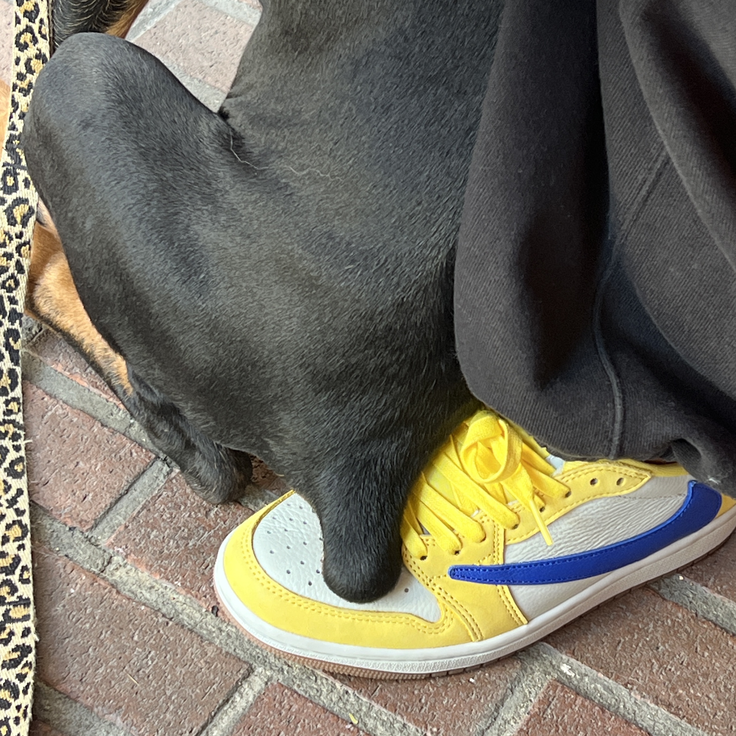 (W) Jordan 1 x Travis Scott Retro Low OG SP Canary 착용 스타일