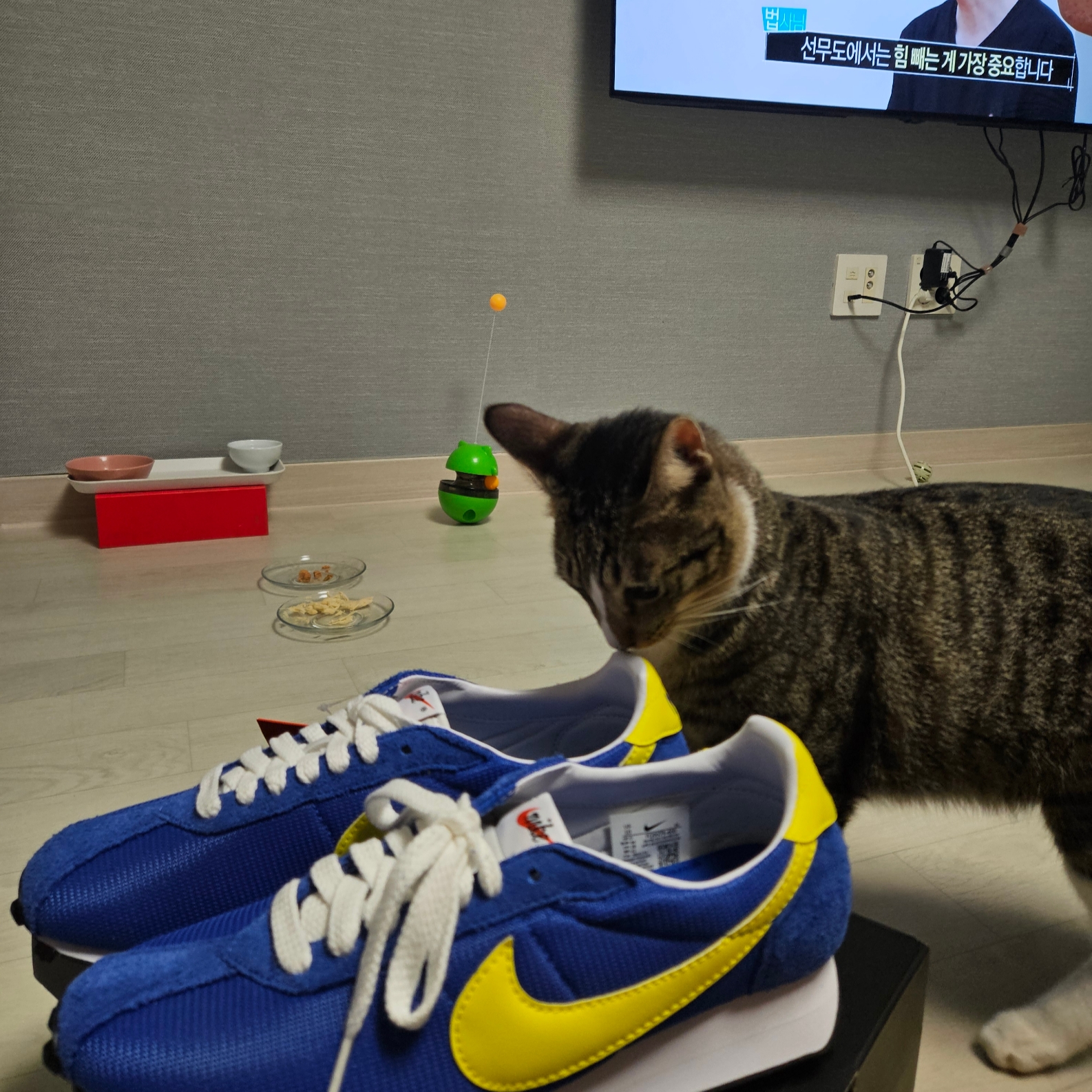 Nike LD-1000 SP Game Royal and Opti Yellow 착용 스타일