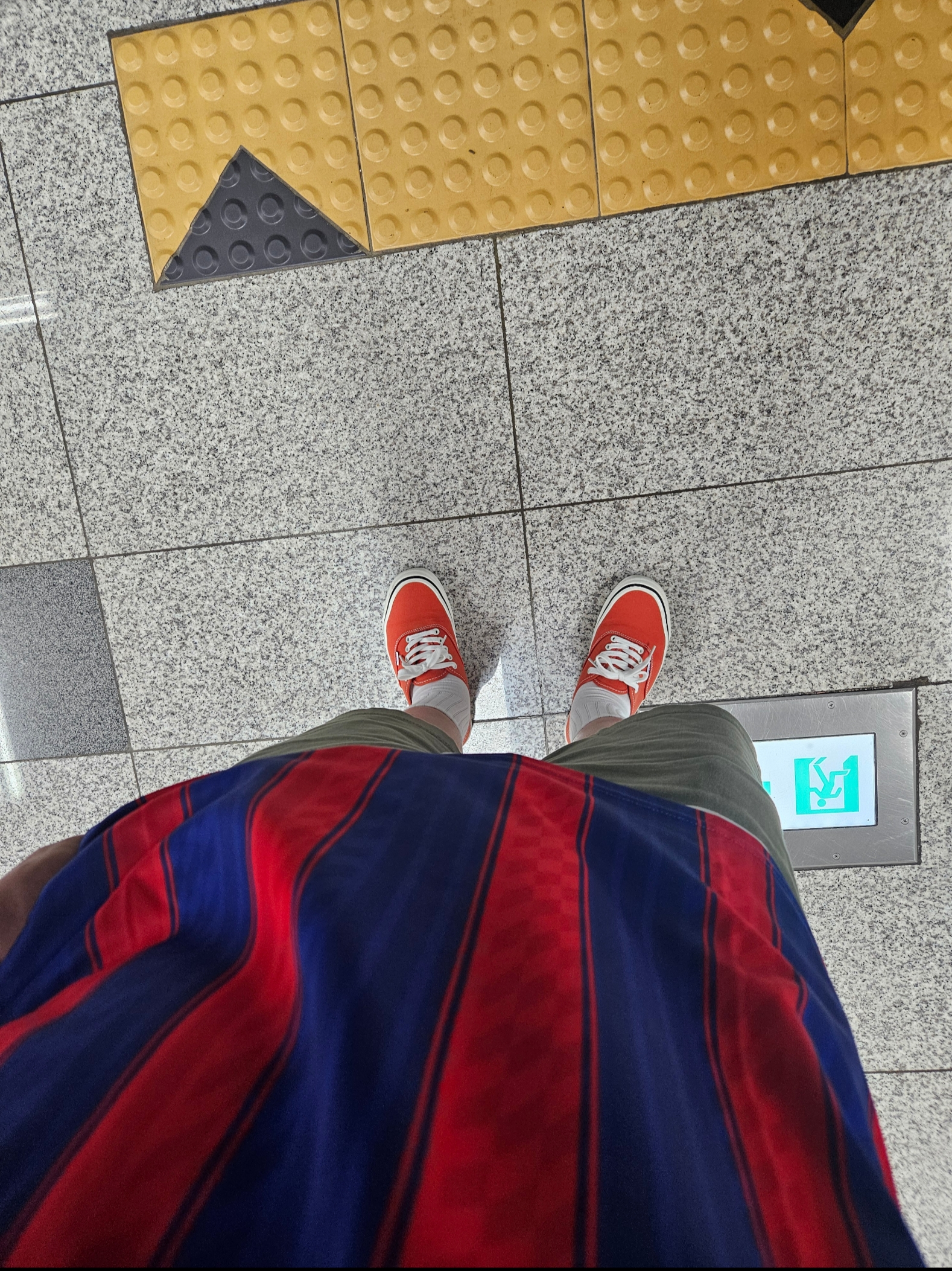 Vans Authentic Color Theory Bossa Nova 착용 스타일 - 2