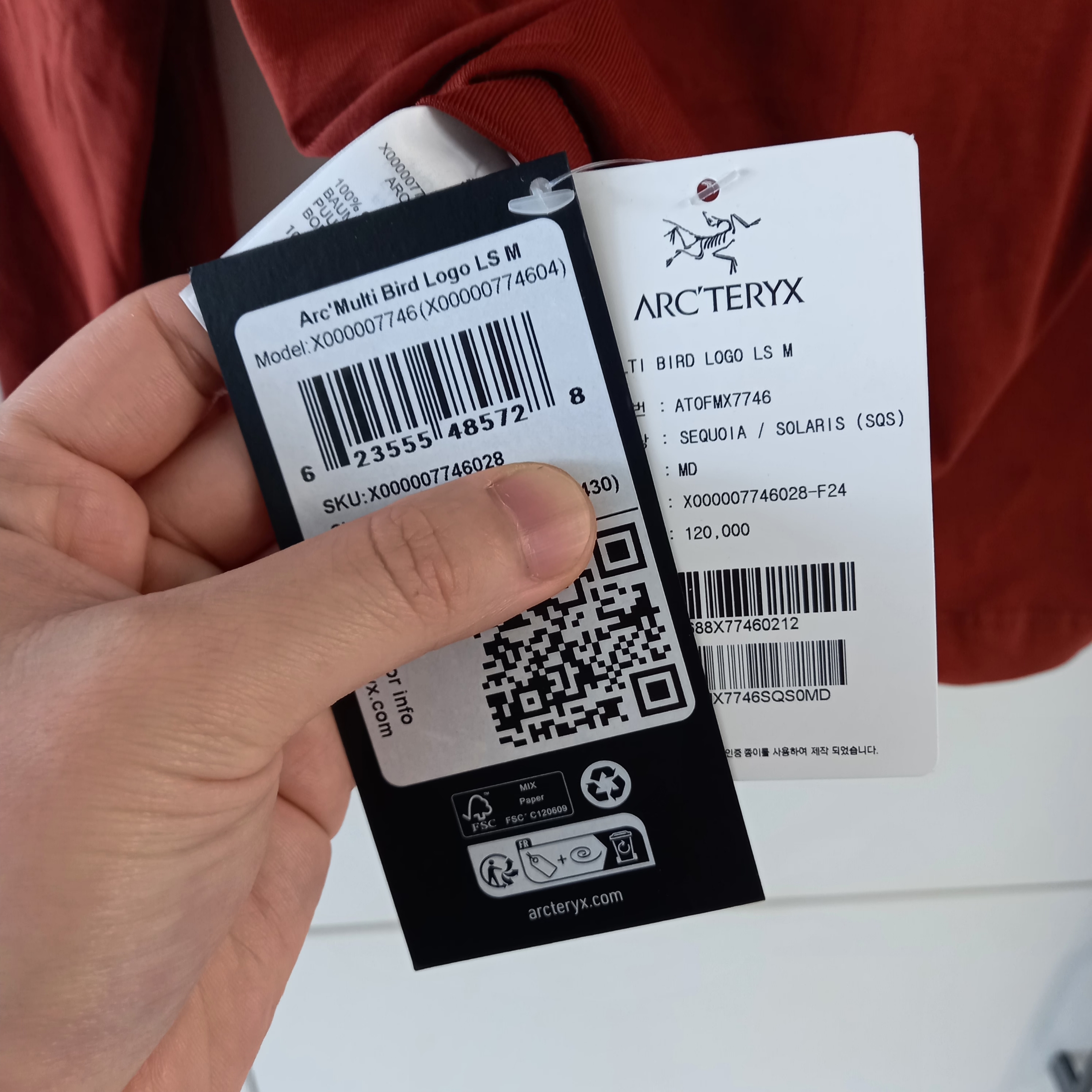 Arc'teryx Arc'Multi Bird Logo LS T-Shirt Sequoia Solaris 착용 스타일 - 4