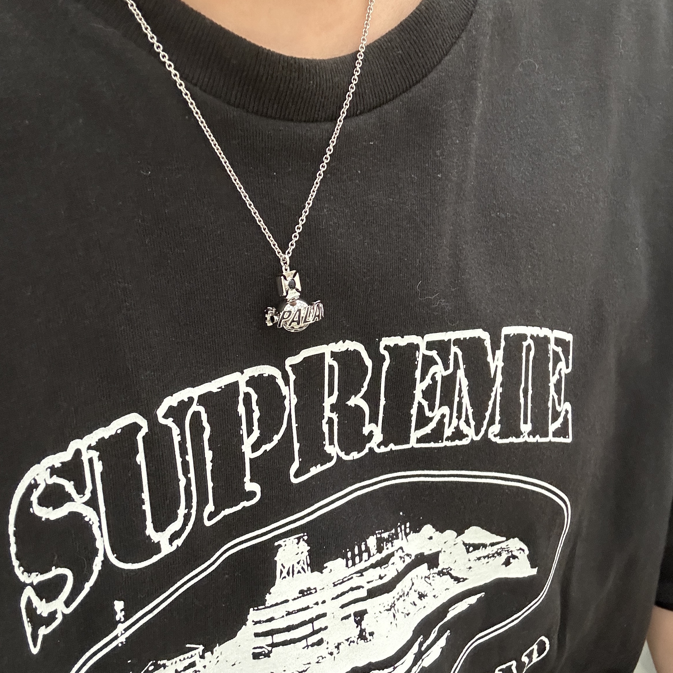 Palace x Vivienne Westwood Orb Pendant Silver - 24FW, Supreme x Corteiz Rules The World T-Shirt Black - 23FW 착용 스타일 - 1