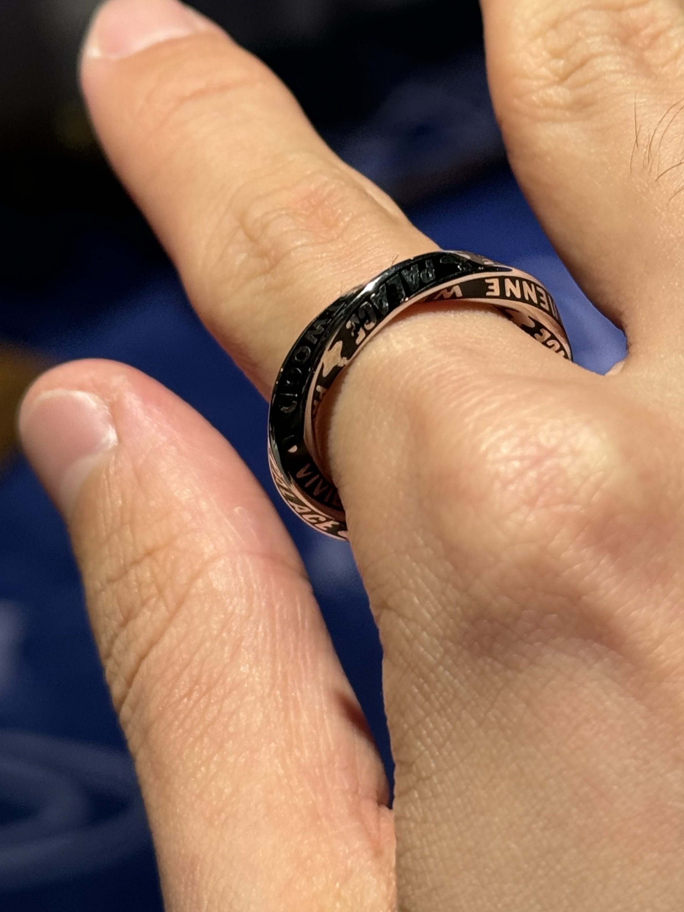 Palace x Vivienne Westwood Small Ring Silver - 24FW 착용 스타일