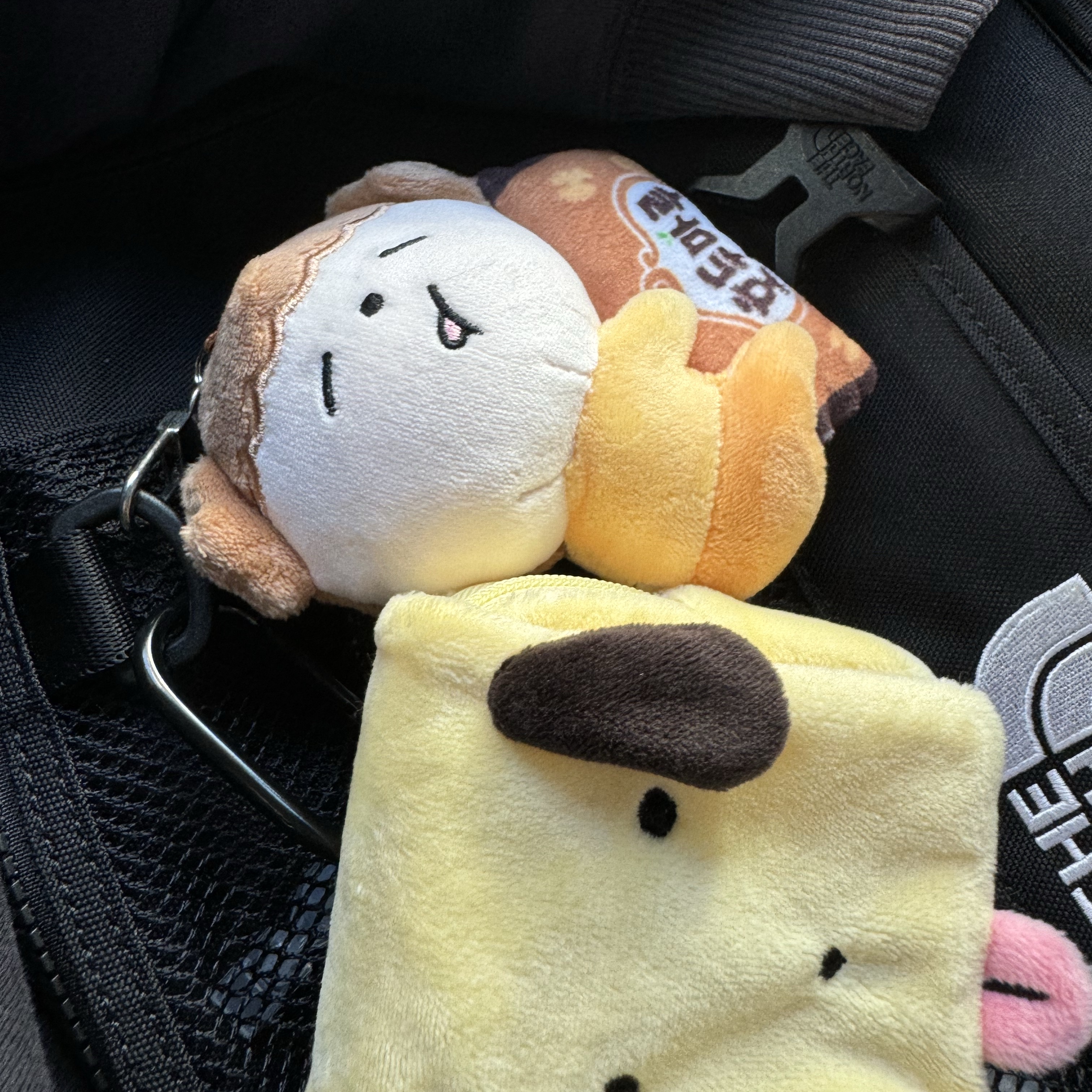Maru is a Puppy Kindergarten Bag Pouch Keyring Yul 착용 스타일