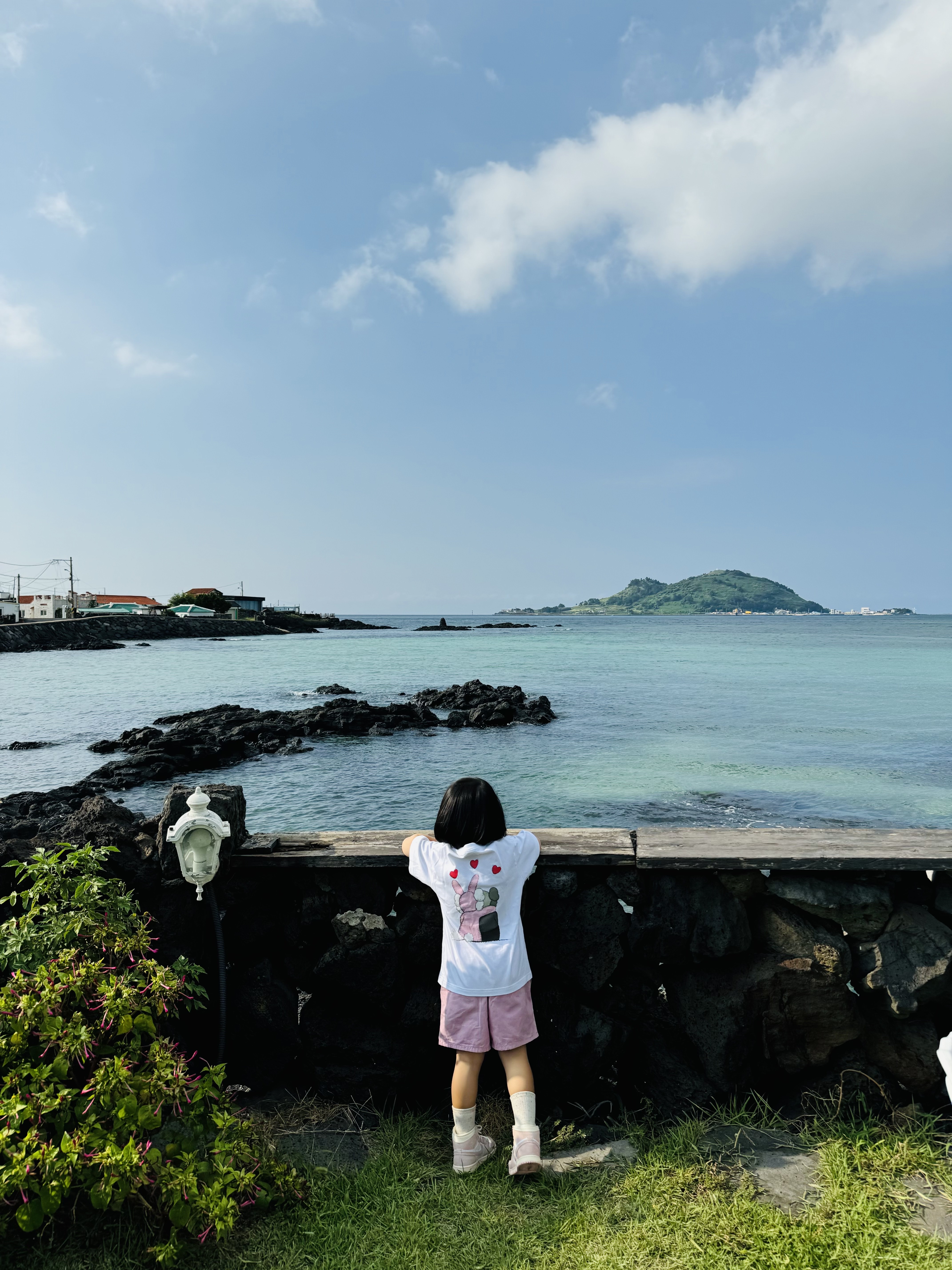 (Kids) Patagonia Funhoggers Cotton Shorts Sunfade Pink, (TD) Jordan 1 Retro High OG Coconut Milk and Sail 착용 스타일 - 1