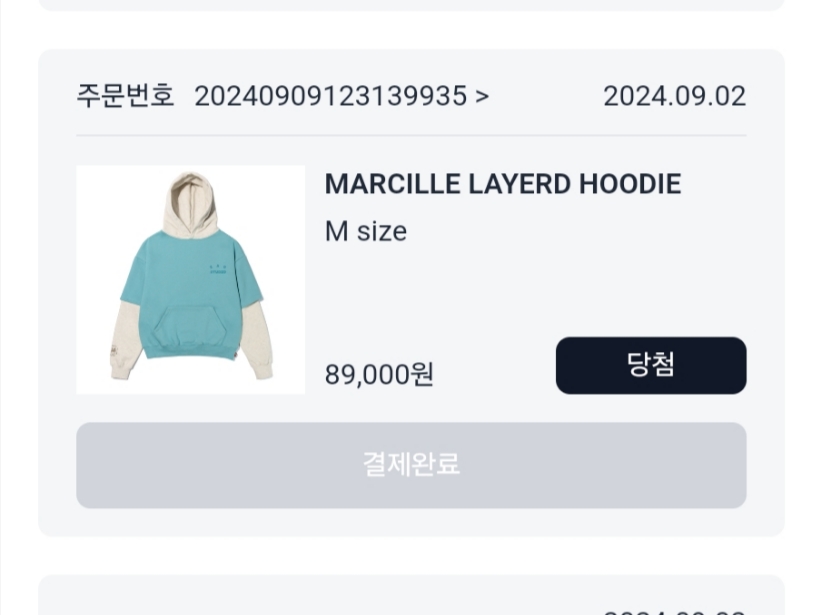 IAB Studio x Delicious in Dungeon Marcille Layerd Hoodie Blue 착용 스타일