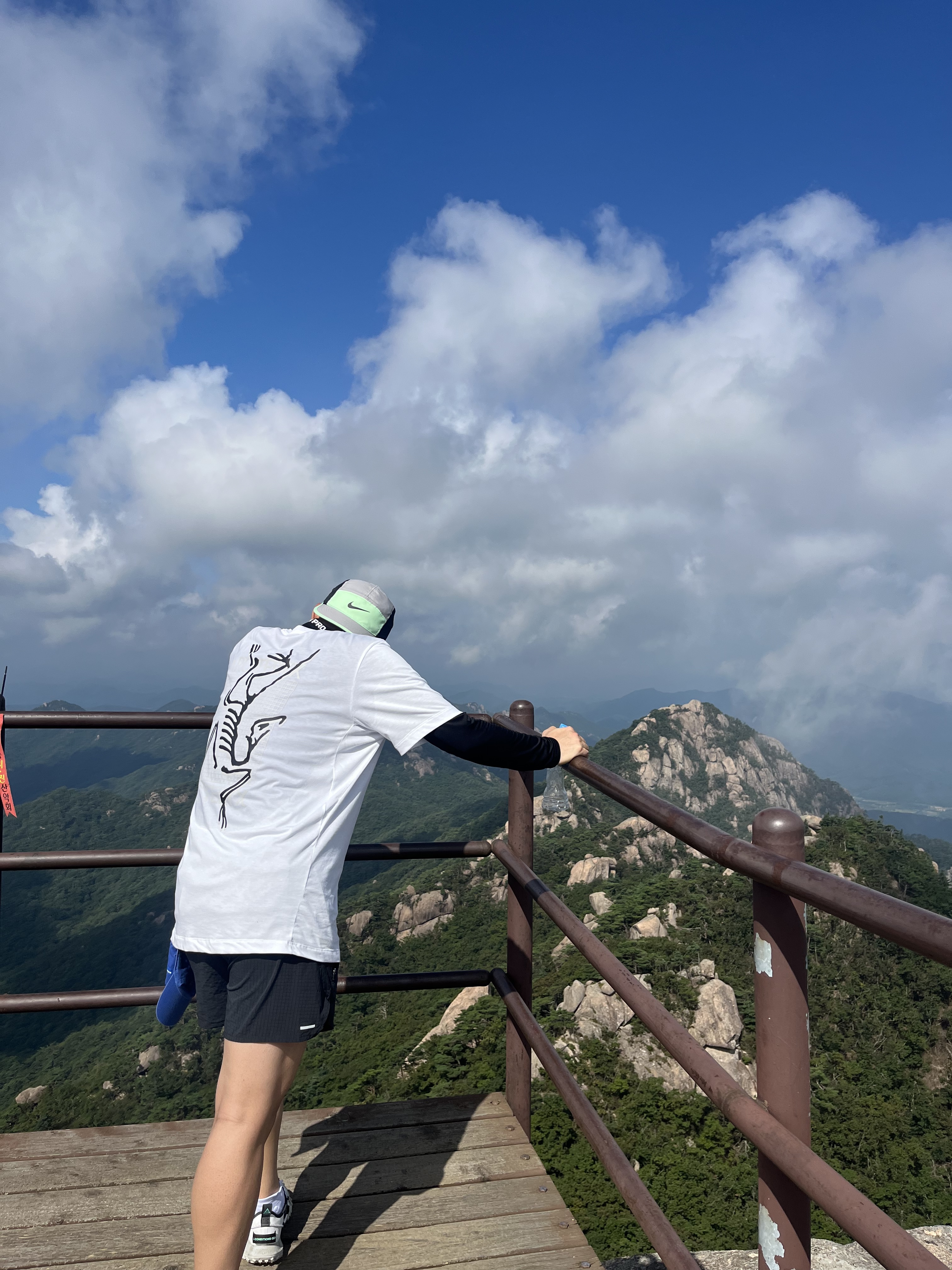 Arc'teryx Arc'Multi Bird Logo SS T-Shirt White Light, Nike ACG Mountain Fly Low SE White and Black 착용 스타일
