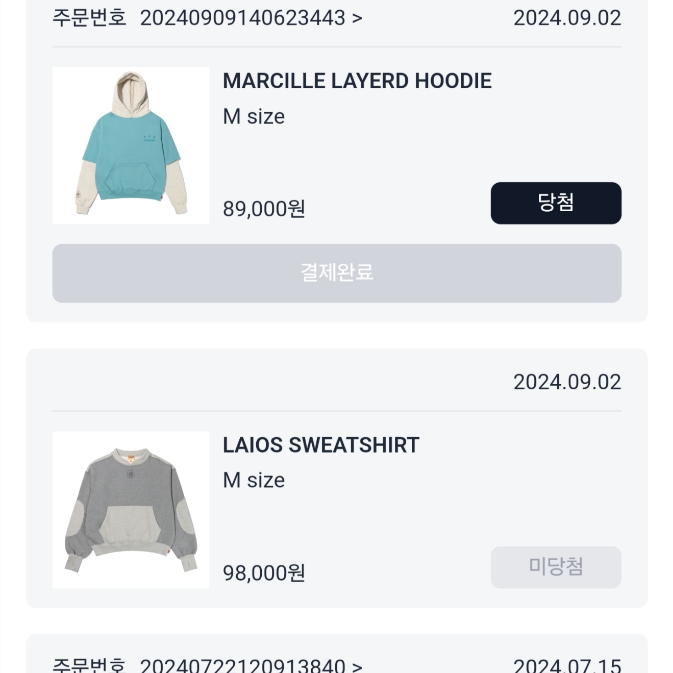 IAB Studio x Delicious in Dungeon Marcille Layerd Hoodie Blue 착용 스타일