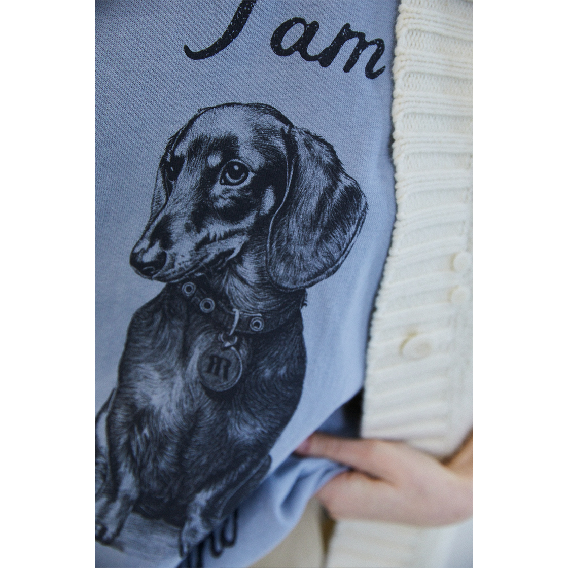 FARVEN Iam Dachshund Tee Cerulean Blue 상세 이미지 2