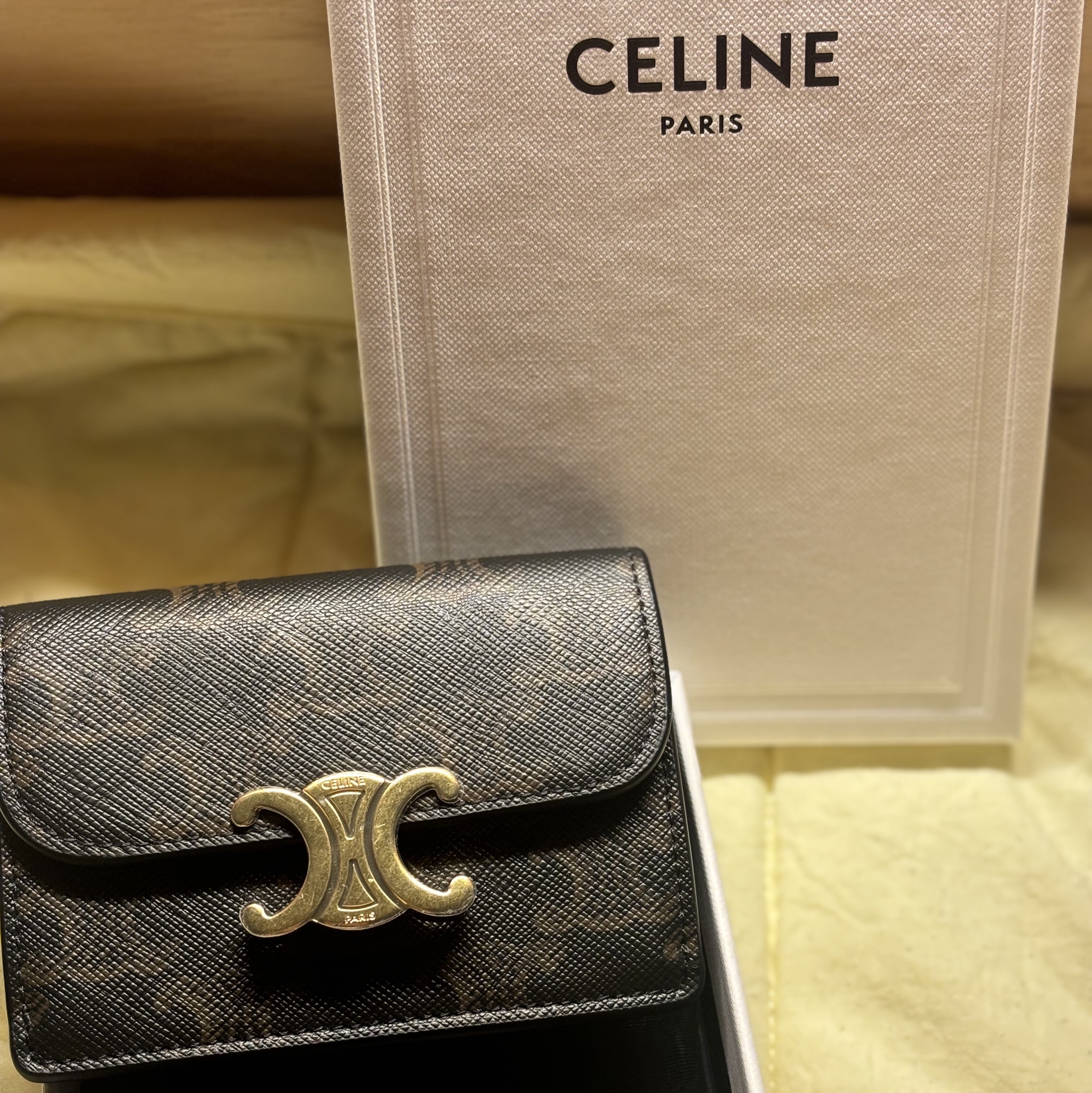 Celine Card Holder with Flap in Triomphe Canvas Tan 착용 스타일 - 1