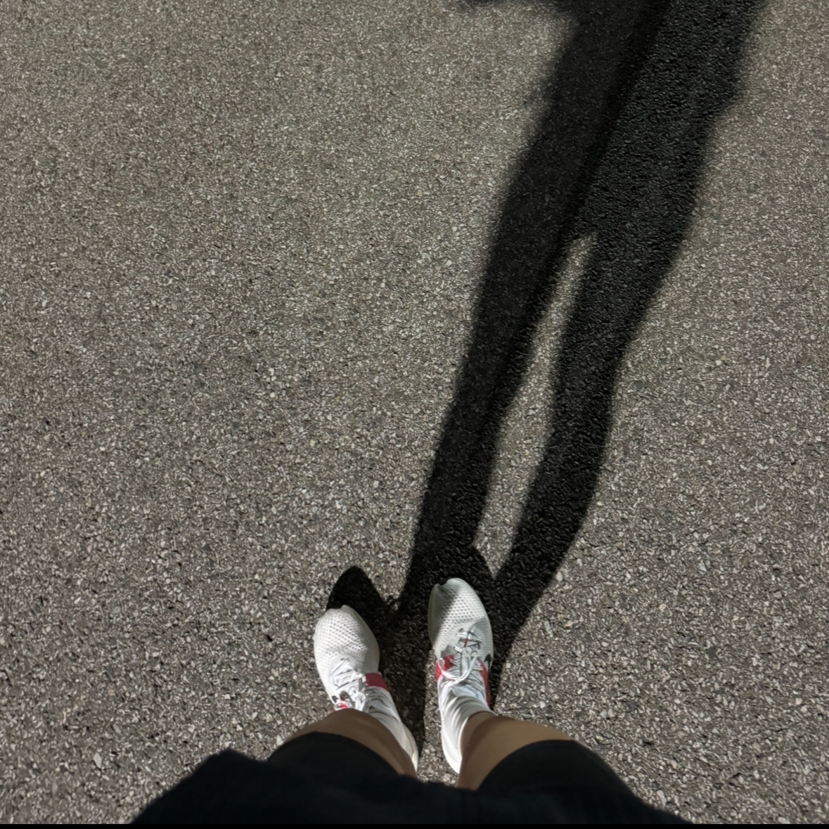 Nike ZoomX Vaporfly Next% 3 Eliud Kipchoge 착용 스타일