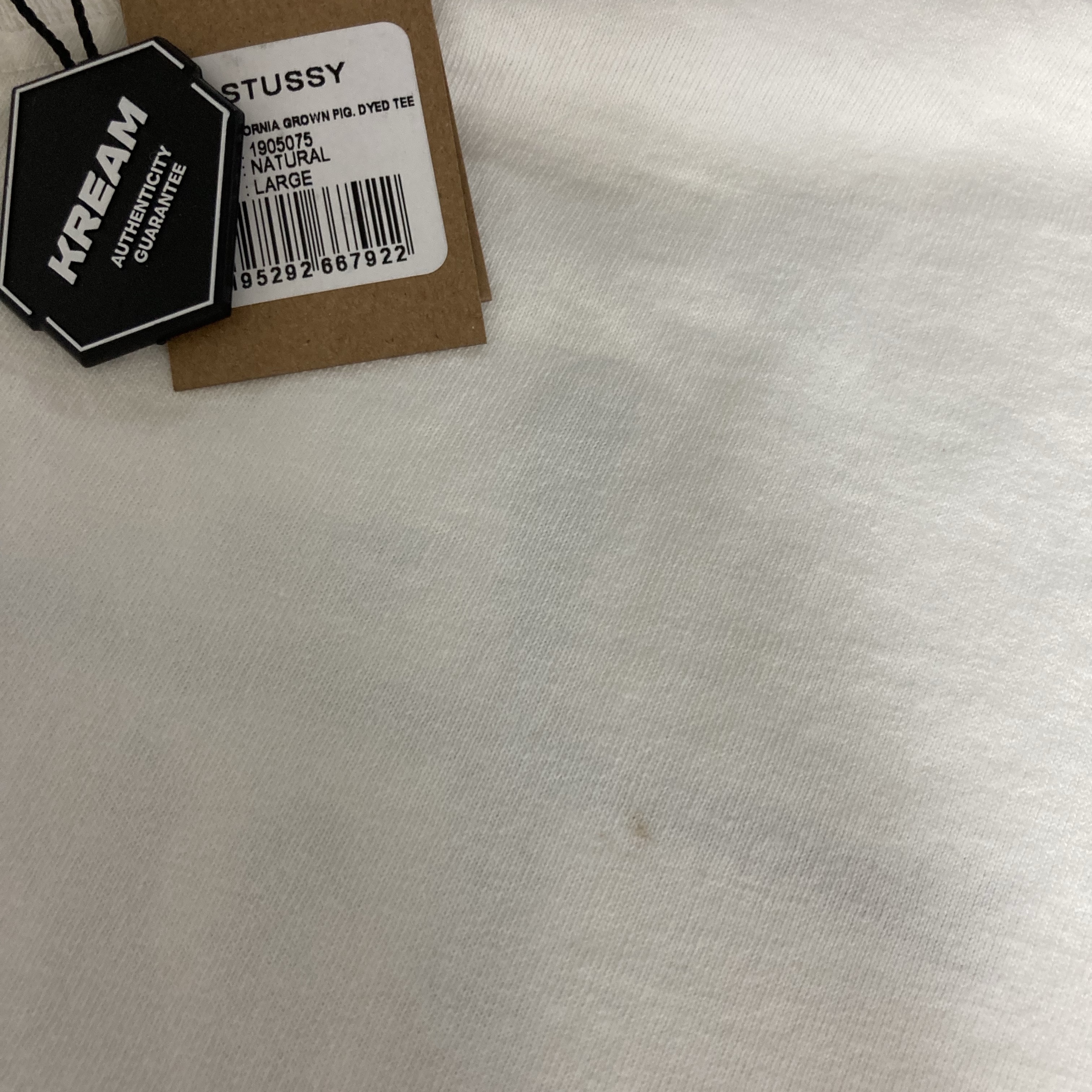 Stussy California Grown Pigment Dyed T-Shirt Natural 착용 스타일