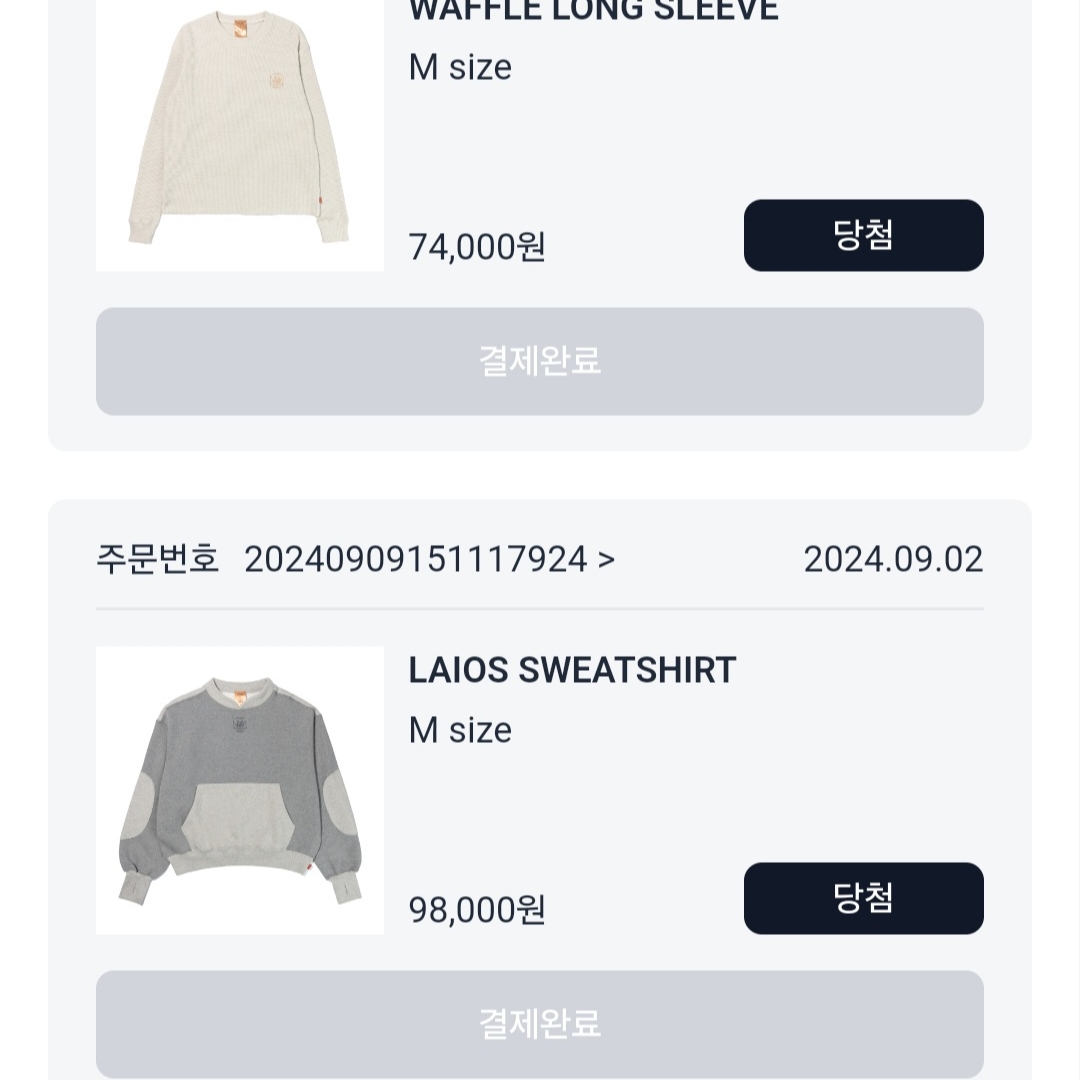 IAB Studio x Delicious in Dungeon Laios Sweatshirt Gray 착용 스타일 - 1