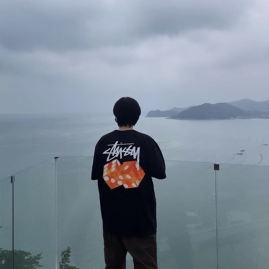 Stussy Diced Out T-Shirt Black 착용 스타일