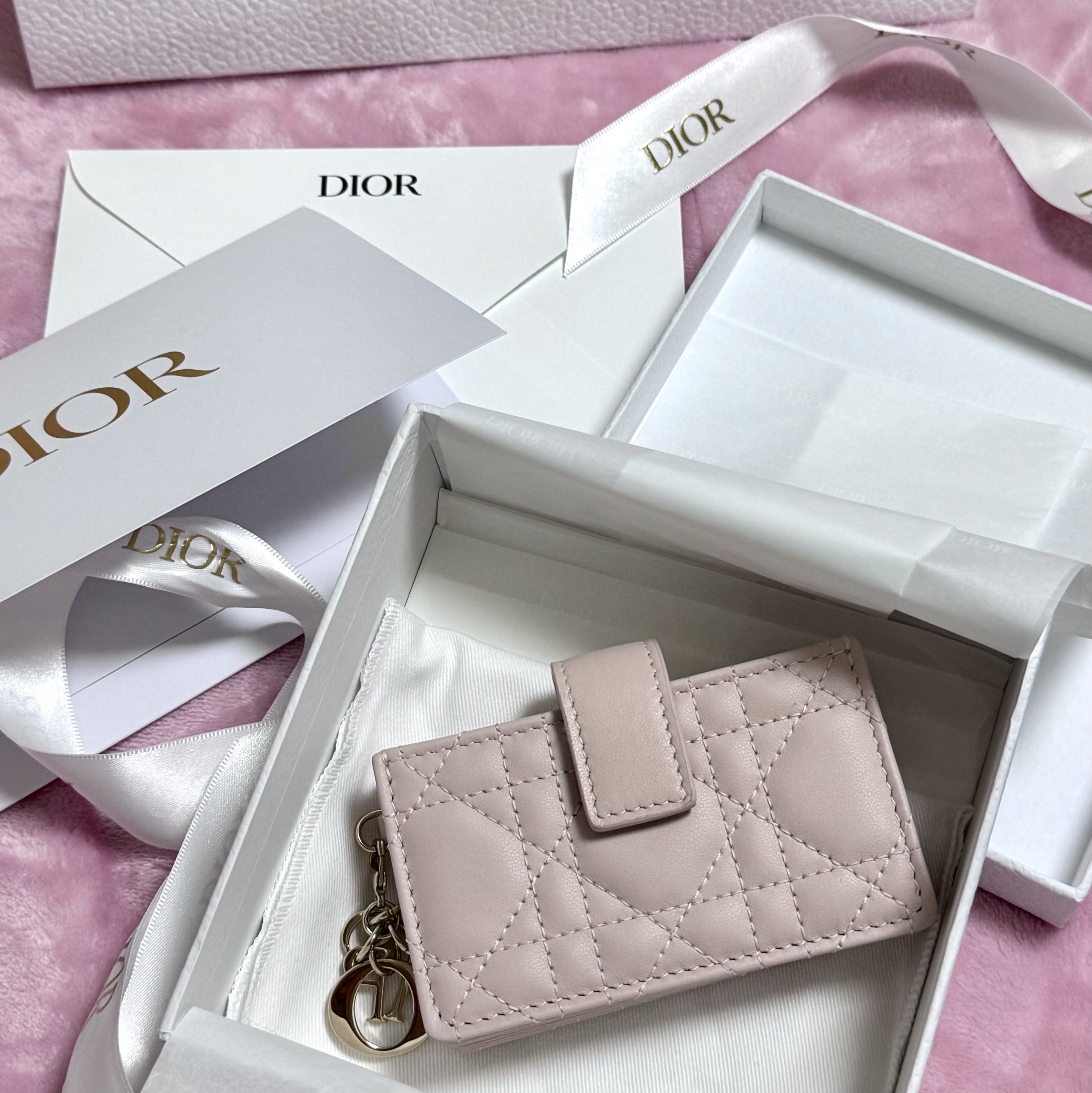 Dior Lady Jasmine Card Holder Powder Pink 착용 스타일