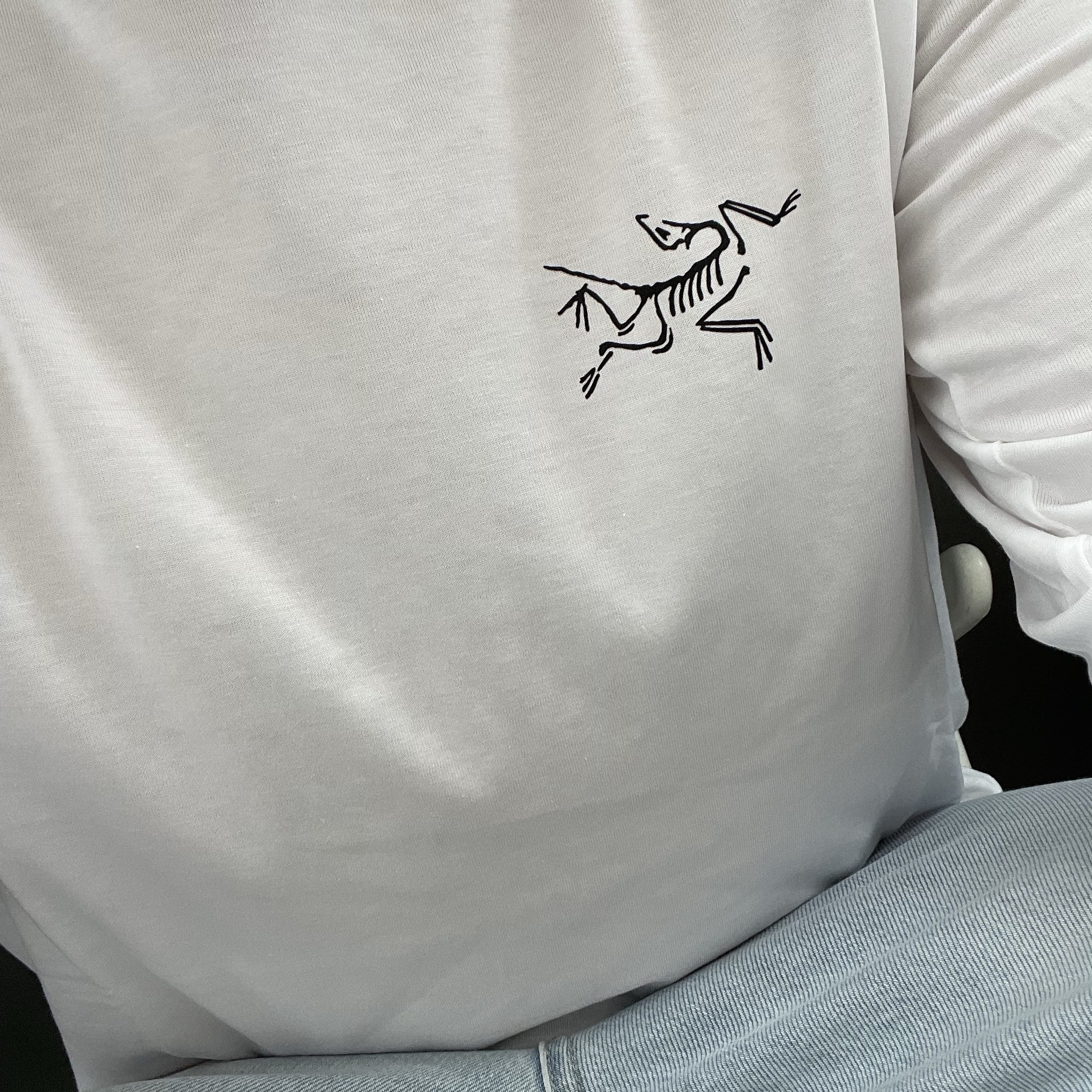 Arc'teryx Arc'Multi Bird Logo LS T-Shirt White Light 착용 스타일